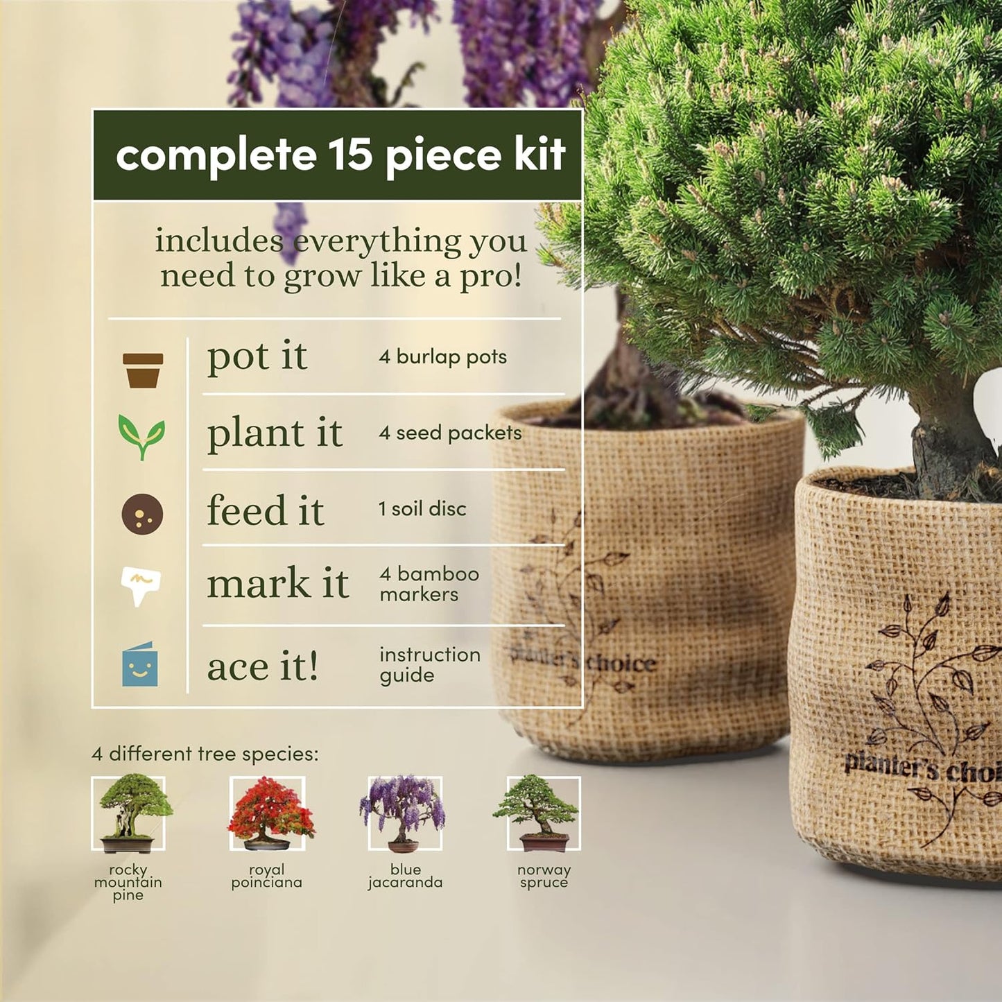 Bonsai Starter Kit - Ideal Gardening Gift for Enthusiasts - Unique DIY Craft Kit for Adults - Thoughtful Easter Gift for Garden Plant Lovers and Gardening Mothers
