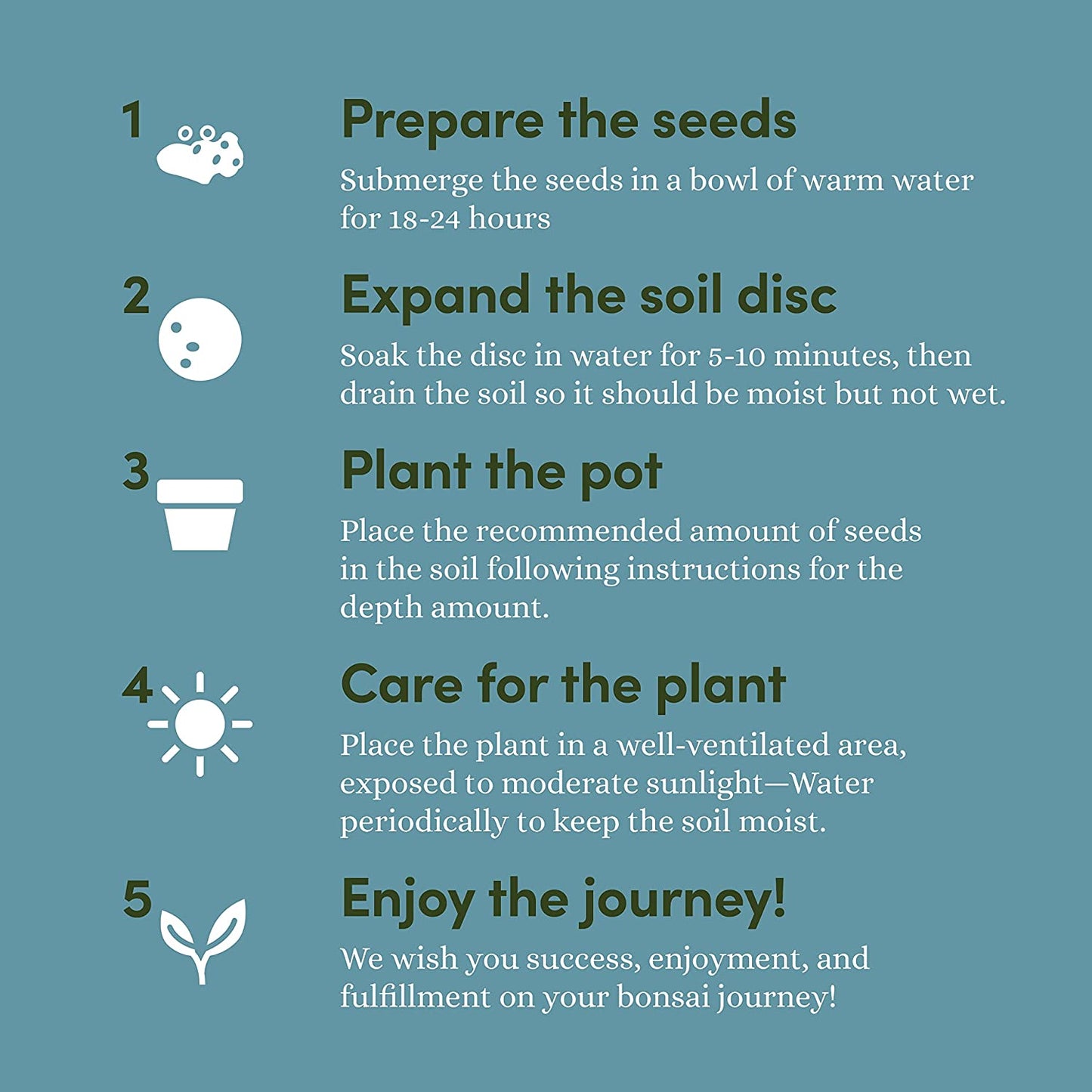 Bonsai Starter Kit - Ideal Gardening Gift for Enthusiasts - Unique DIY Craft Kit for Adults - Thoughtful Easter Gift for Garden Plant Lovers and Gardening Mothers