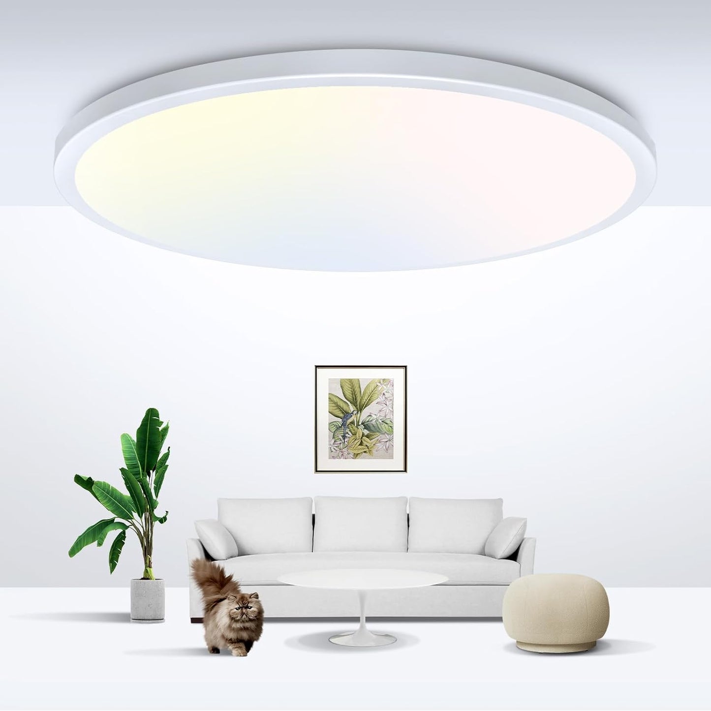 12-Inch LED Flush Mount Ceiling Light Fixture, 28W 3200Lm Adjustable Color Temperature (3000K/4500K/6000K) for Bedroom, Kitchen, and Dining Room (White)
