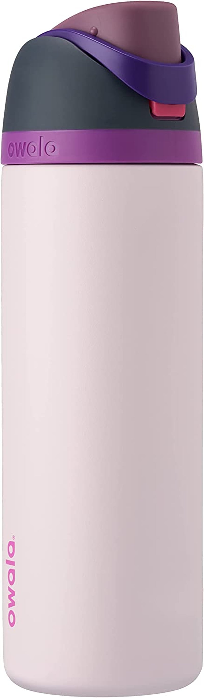 Freesip 24oz Insulated Stainless Steel Water Bottle with Straw - BPA-Free