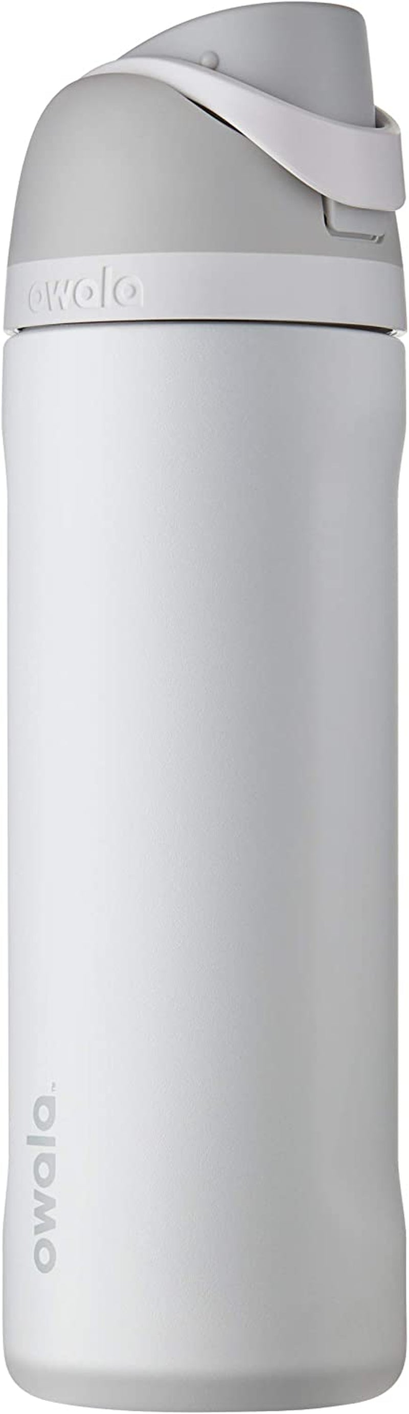 Freesip 24 Oz Insulated Stainless Steel Water Bottle with Straw - BPA-Free