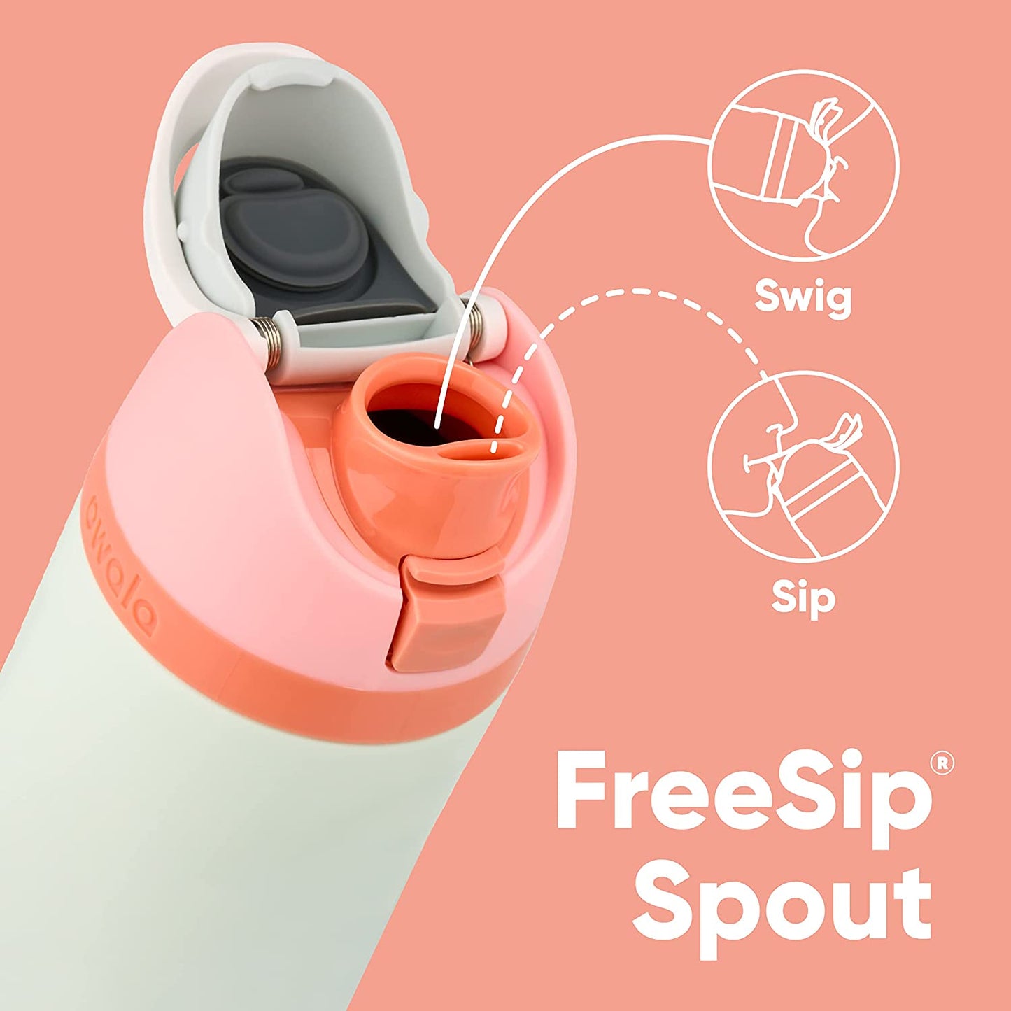 Freesip 24 Oz Insulated Stainless Steel Water Bottle with Straw - BPA-Free