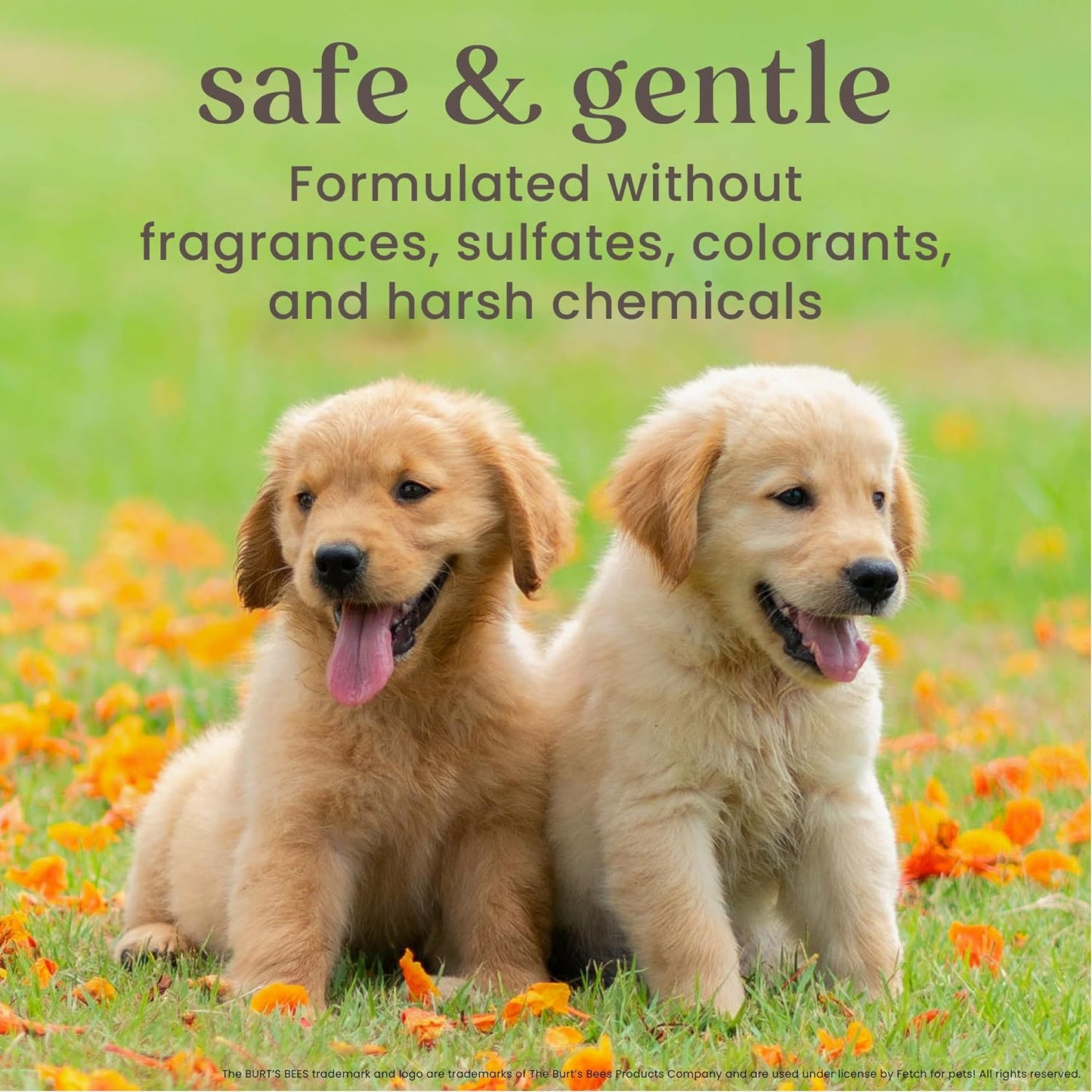 Natural Tearless 2-in-1 Shampoo, Conditioner - Puppies | Enriched Buttermilk, Linseed Oil | Gentle Formula