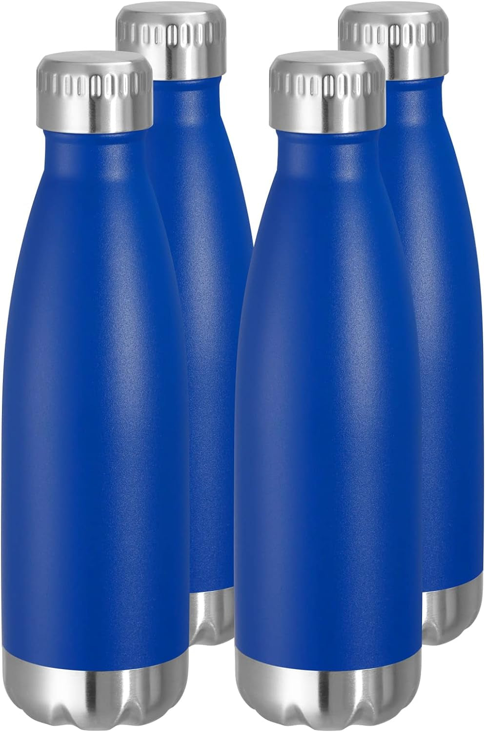 17 oz Stainless Steel Insulated Water Bottle - Reusable Double Wall Vacuum Flask for Hot and Cold Beverages, BPA Free