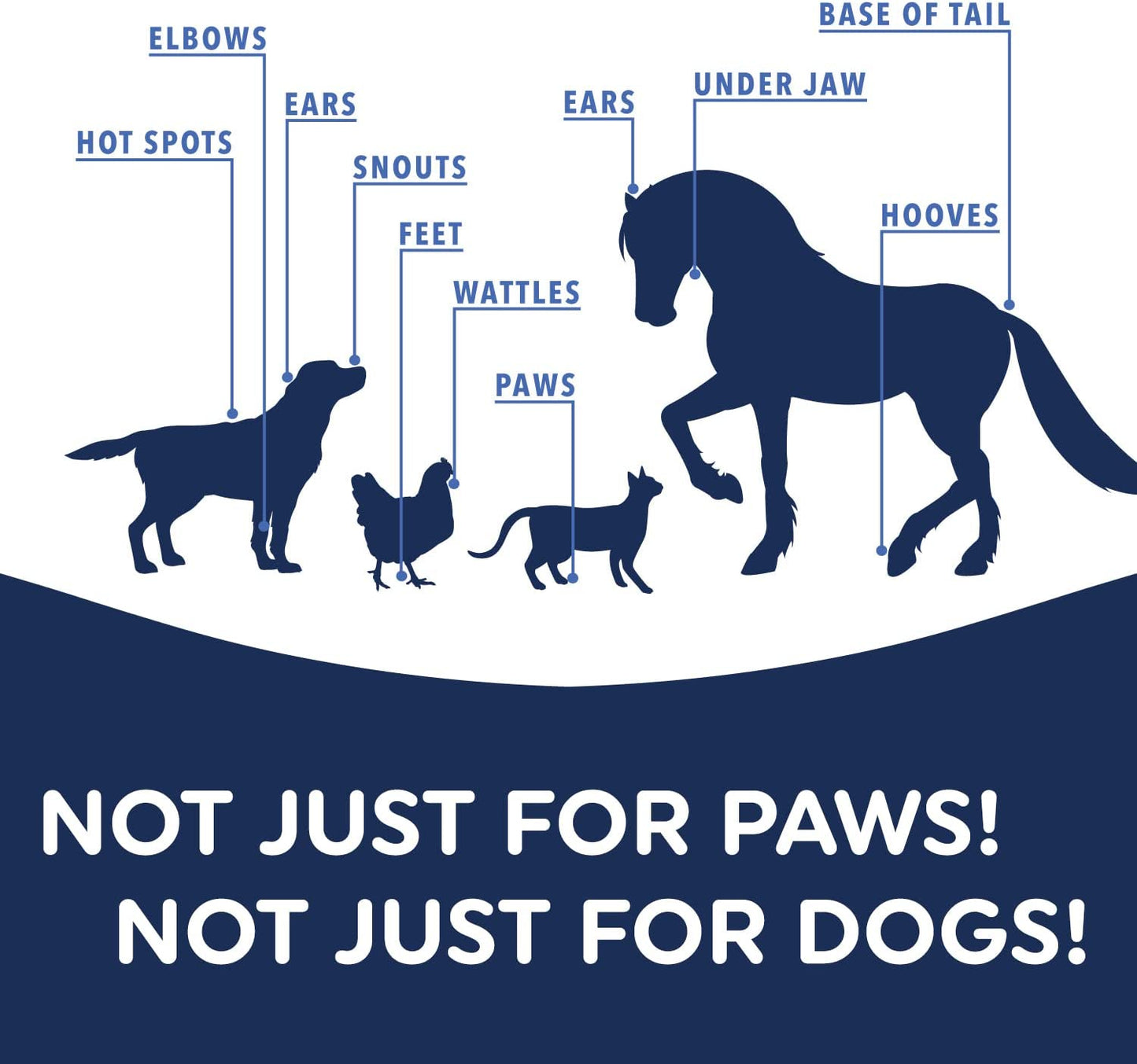 Dog Paw Wax (2.1 Oz) - Protection - Pet Paws Against Heat, Pavement, Sand, Dirt, Snow - Trail and Walk Activities