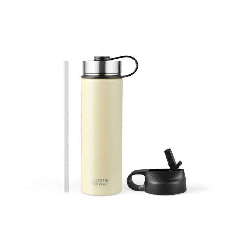22 oz Double-Walled Insulated Stainless Steel Water Bottle with Straw Lid