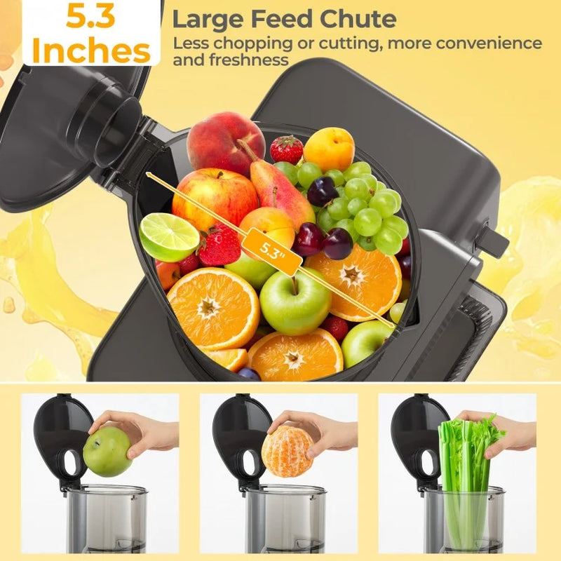 High-Efficiency Cold Press Juicer with 5.3-Inch Feed Chute and Reverse Function for Optimal Juice Yield