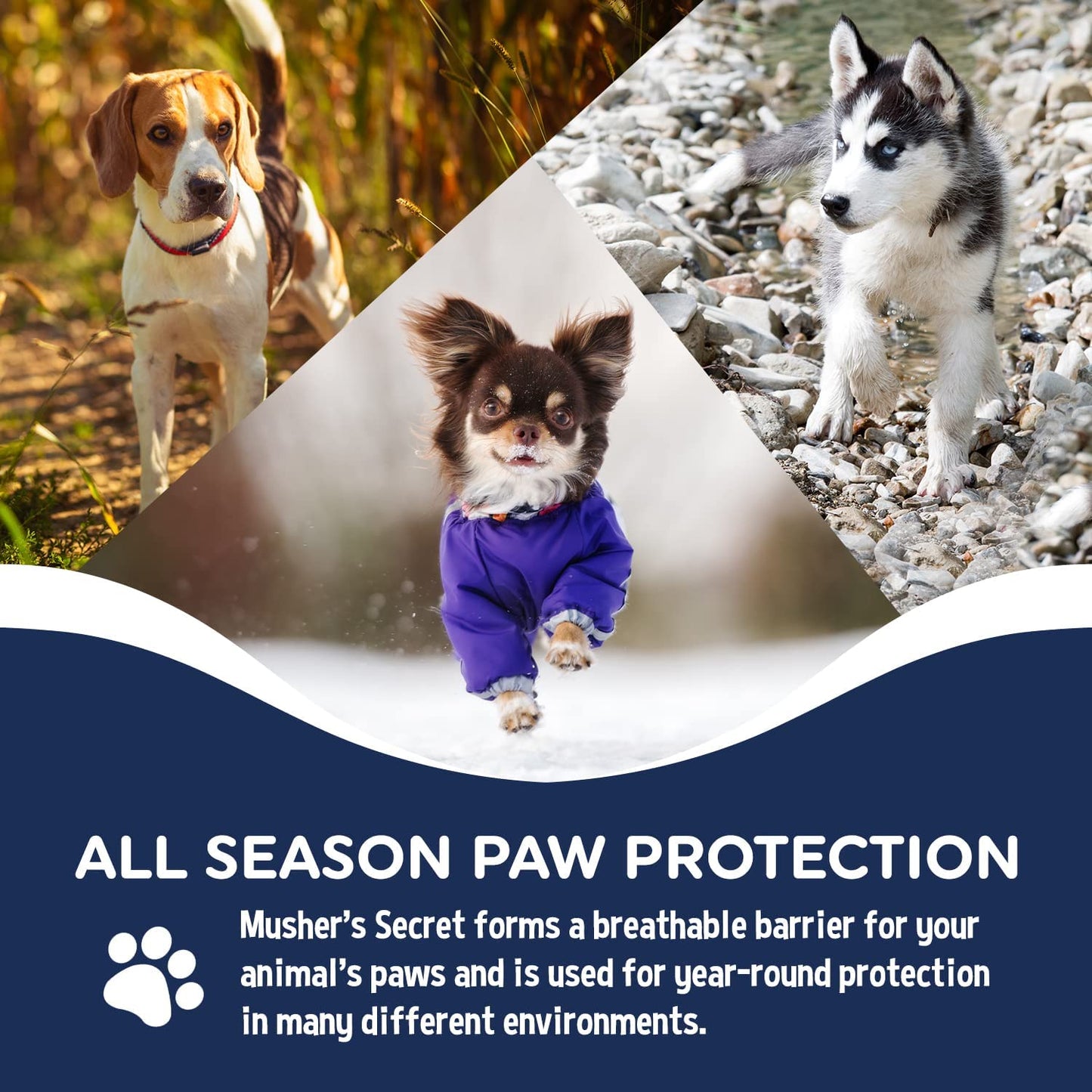 Dog Paw Wax (2.1 Oz) - Protection - Pet Paws Against Heat, Pavement, Sand, Dirt, Snow - Trail and Walk Activities