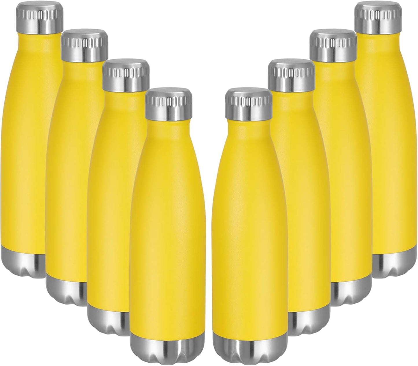 17 oz Stainless Steel Insulated Water Bottle - Reusable Double Wall Vacuum Flask for Hot and Cold Beverages, BPA Free