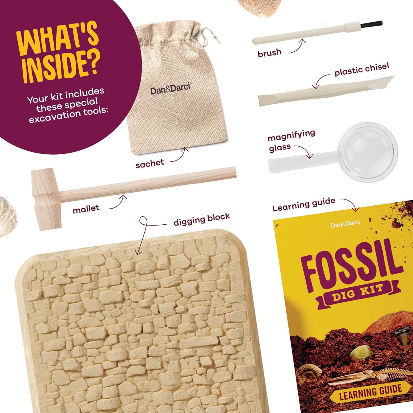 Authentic Fossil Excavation Kit for Children - Comprehensive Science Kits for Ages 8+