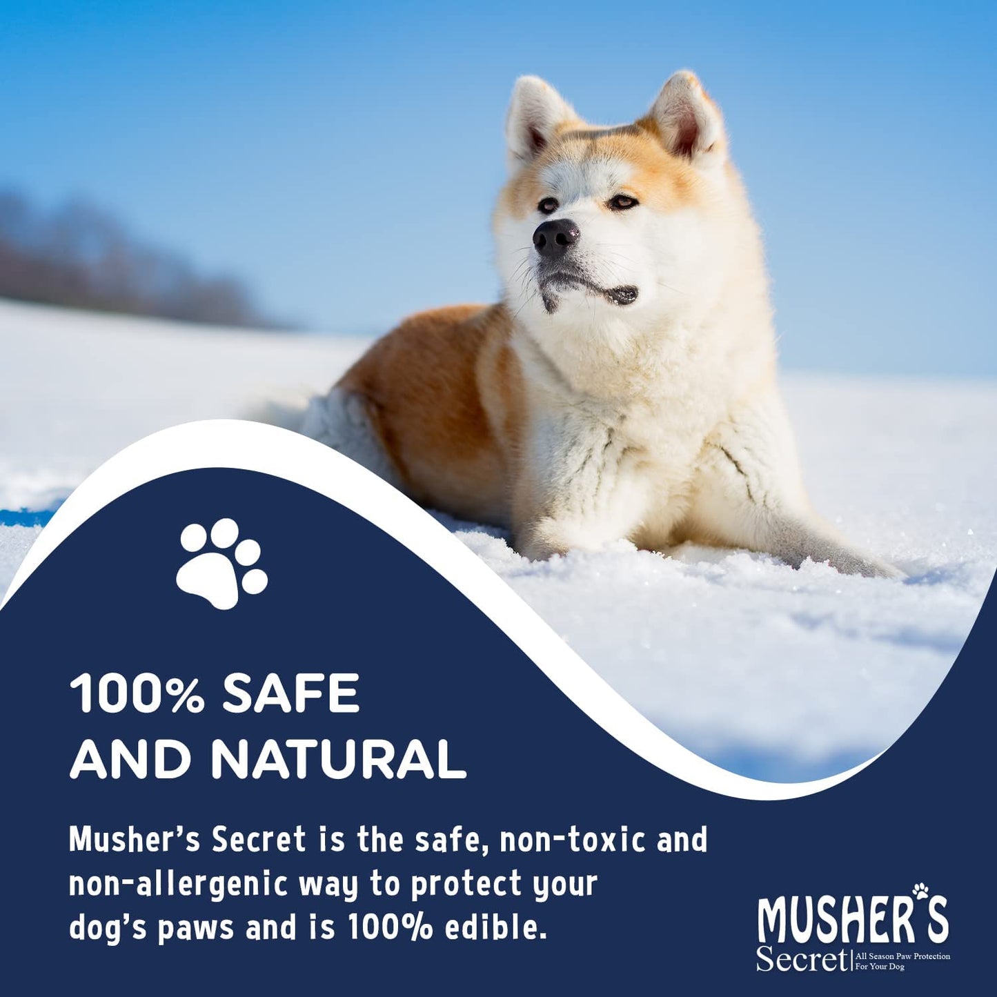 Dog Paw Wax (2.1 Oz) - Protection - Pet Paws Against Heat, Pavement, Sand, Dirt, Snow - Trail and Walk Activities