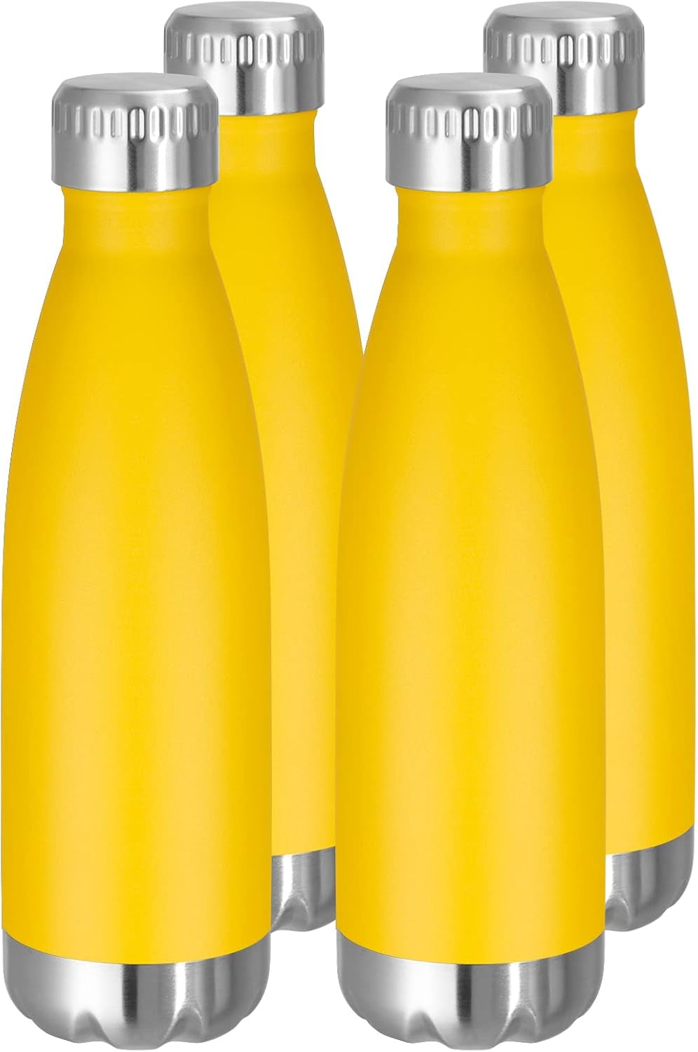 17 oz Stainless Steel Insulated Water Bottle - Reusable Double Wall Vacuum Flask for Hot and Cold Beverages, BPA Free