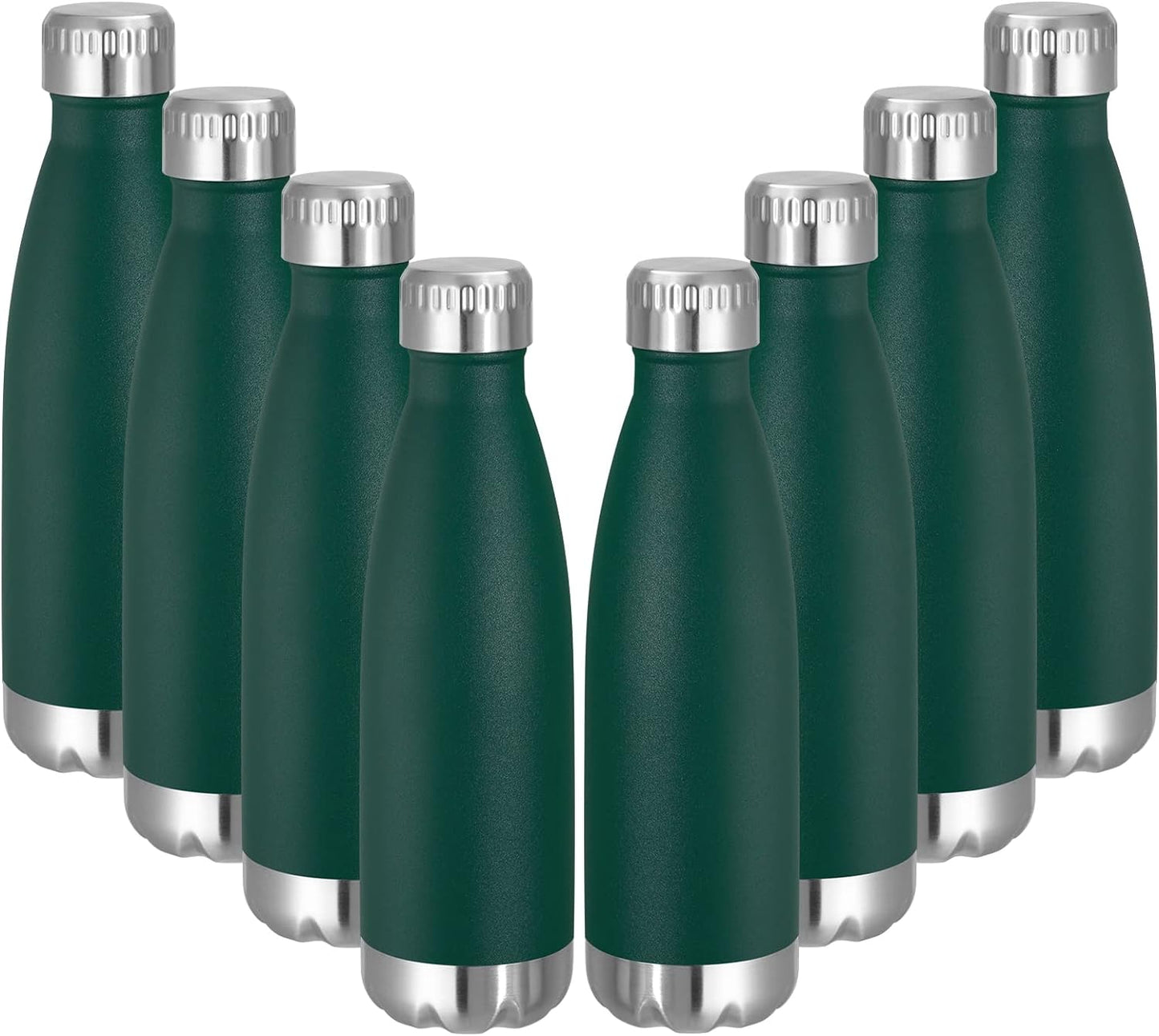 17 oz Stainless Steel Insulated Water Bottle - Reusable Double Wall Vacuum Flask for Hot and Cold Beverages, BPA Free