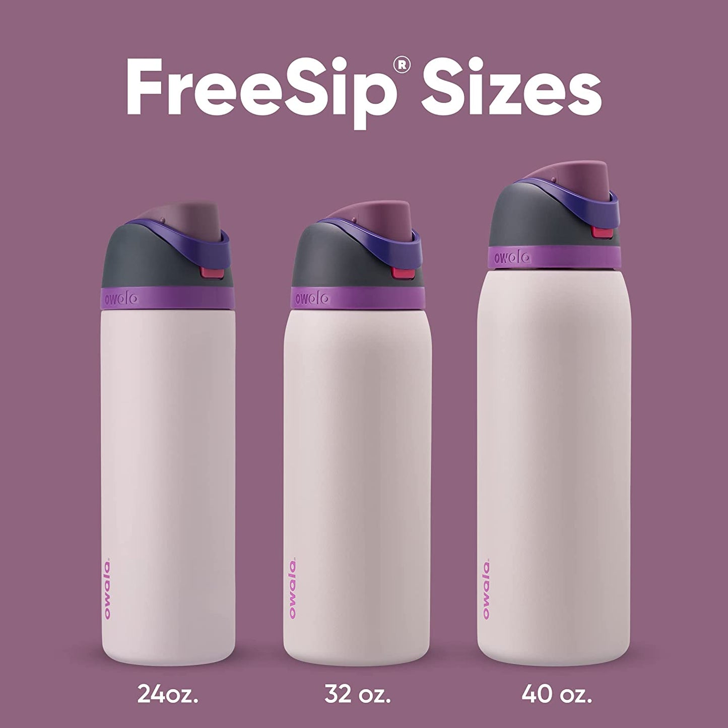 Freesip 24oz Insulated Stainless Steel Water Bottle with Straw - BPA-Free