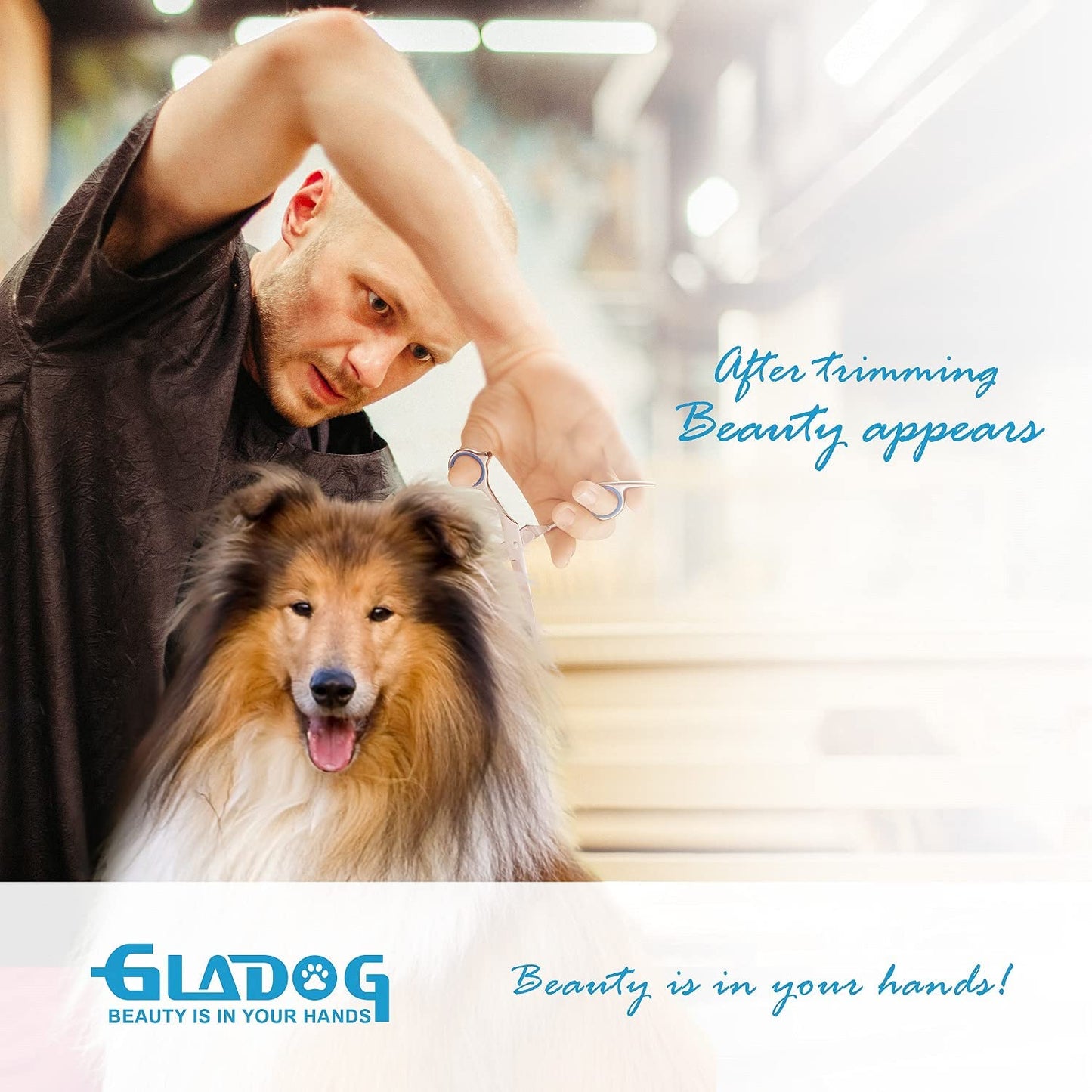 5-in-1 Dog Grooming Scissors Set - Safety Round Tips - Durable Sharp Pet Grooming Shears Dogs, Cats
