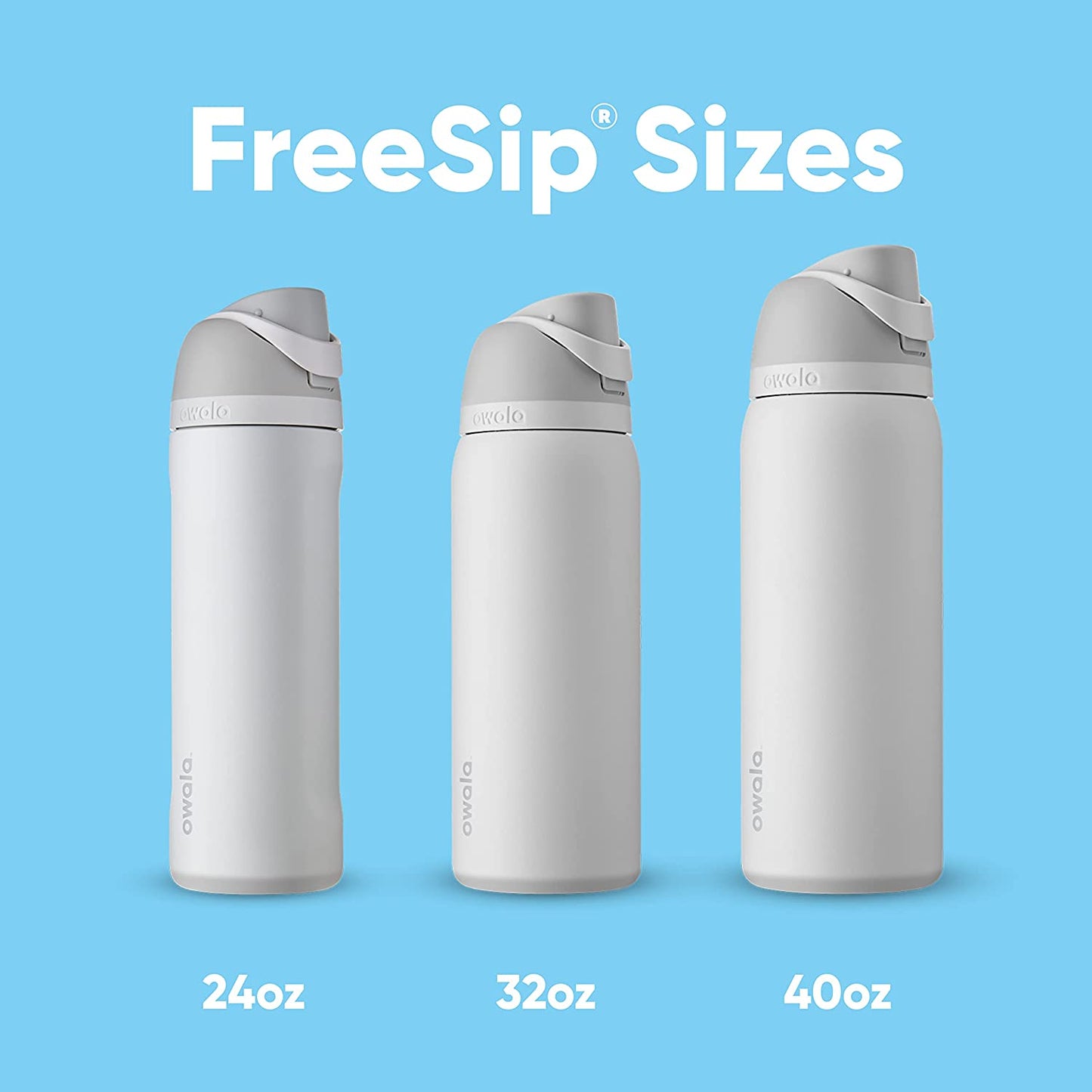 Freesip 24 Oz Insulated Stainless Steel Water Bottle with Straw - BPA-Free