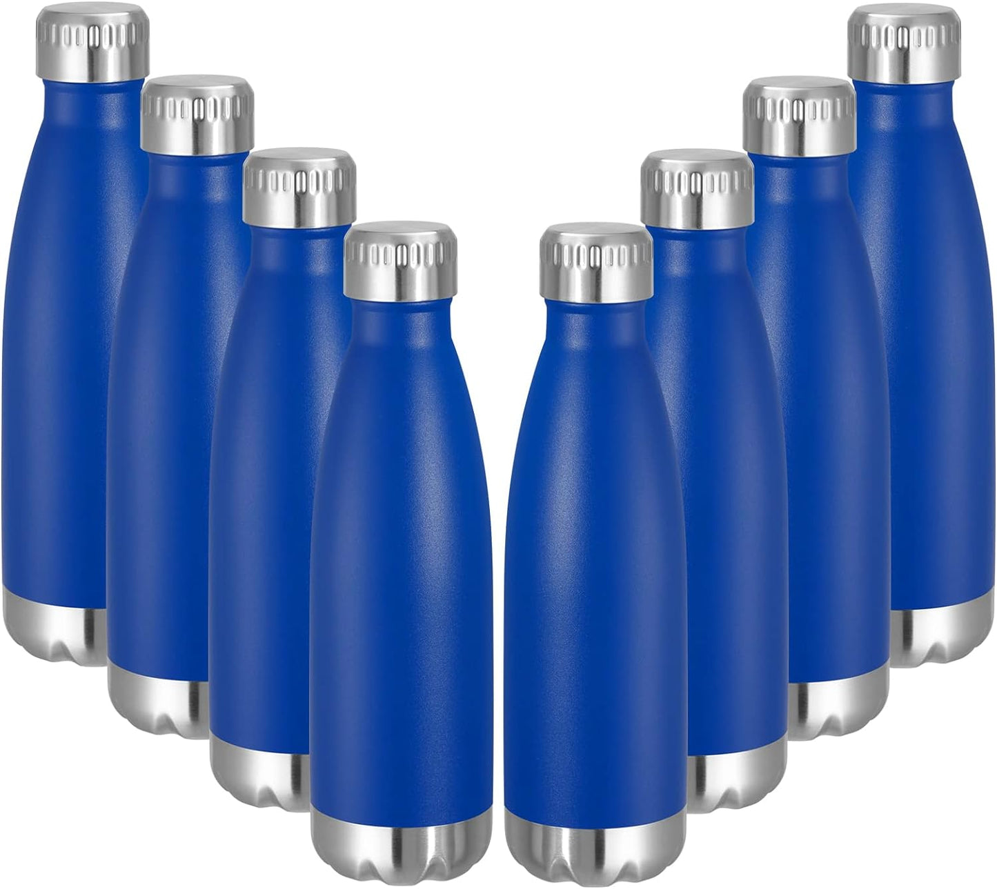 17 oz Stainless Steel Insulated Water Bottle - Reusable Double Wall Vacuum Flask for Hot and Cold Beverages, BPA Free