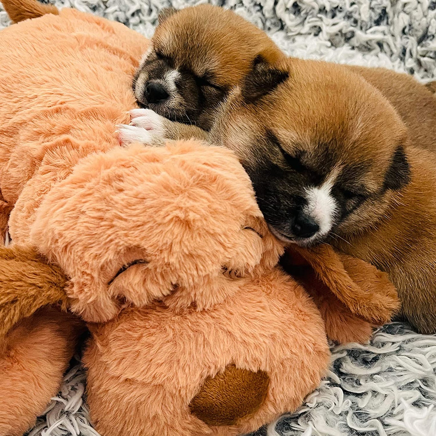 Snuggle Puppy Heartbeat Plush Toy Dogs - Anxiety Relief, Calming Support - Comfort Companion Behavioral Training - Biscuit Color