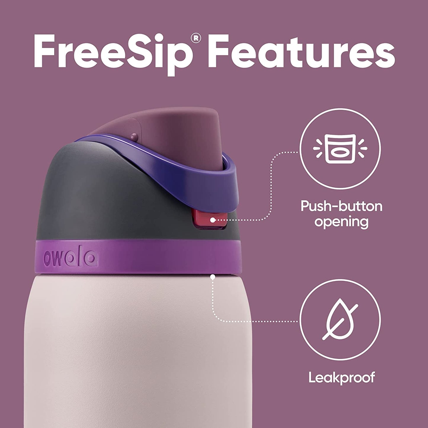 Freesip 24oz Insulated Stainless Steel Water Bottle with Straw - BPA-Free