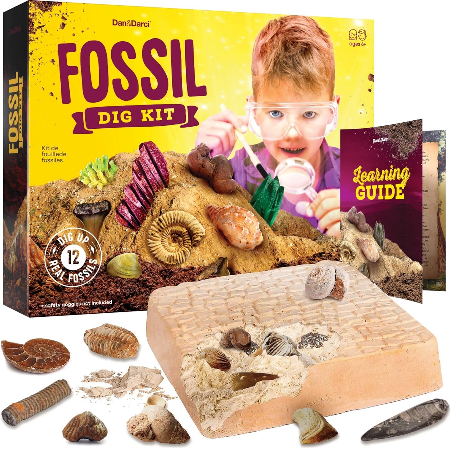 Authentic Fossil Excavation Kit for Children - Comprehensive Science Kits for Ages 8+