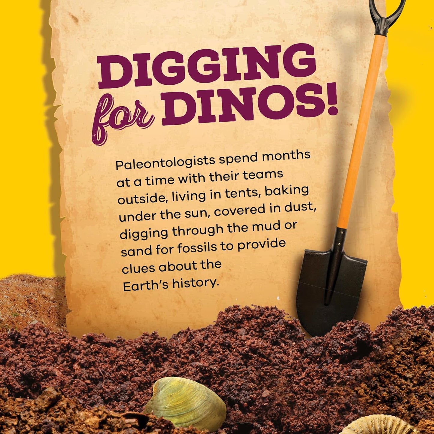 Authentic Fossil Excavation Kit for Children - Comprehensive Science Kits for Ages 8+