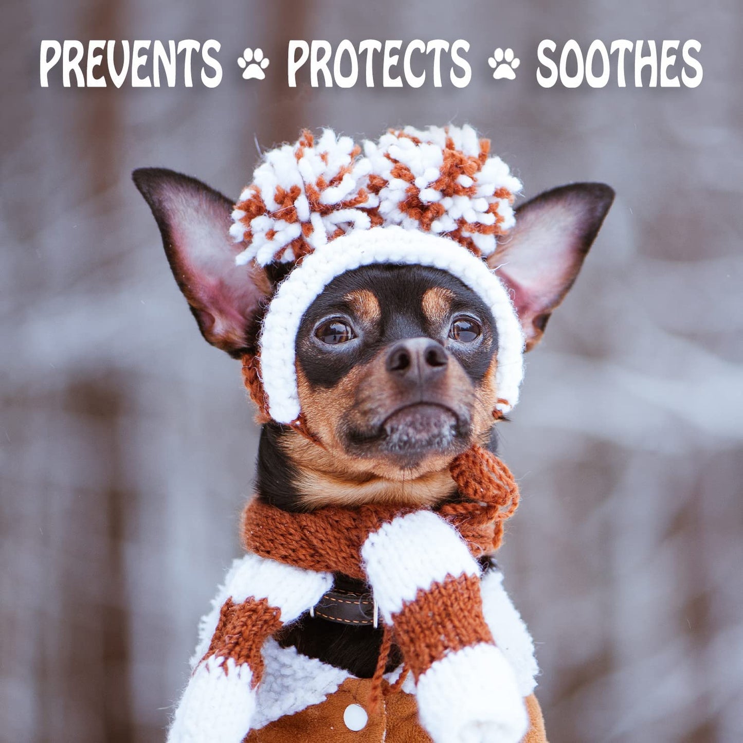 Dog Paw Wax (2.1 Oz) - Protection - Pet Paws Against Heat, Pavement, Sand, Dirt, Snow - Trail and Walk Activities
