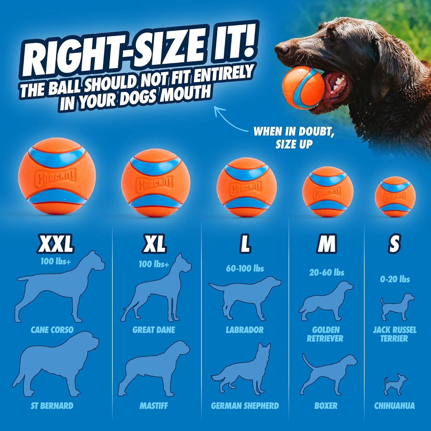 Medium Ultra Pet Dog Toy Balls (2.5 Inch) - Pack of 2