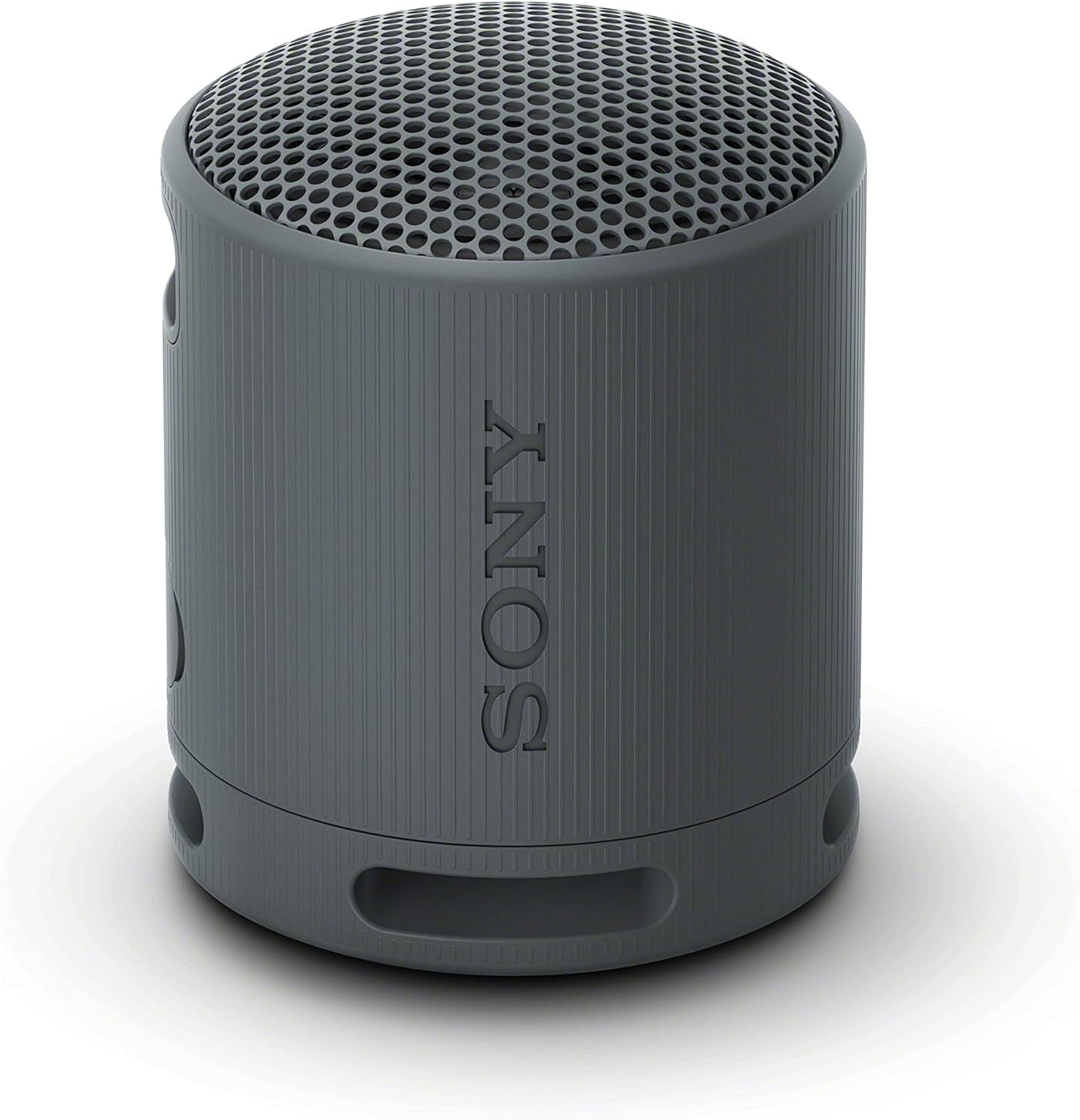 SRS-XB100 Wireless Bluetooth Portable Speaker - IP67 Waterproof & Dustproof, 16-Hr Battery Life, Strap, Hands-Free Calling - Grey