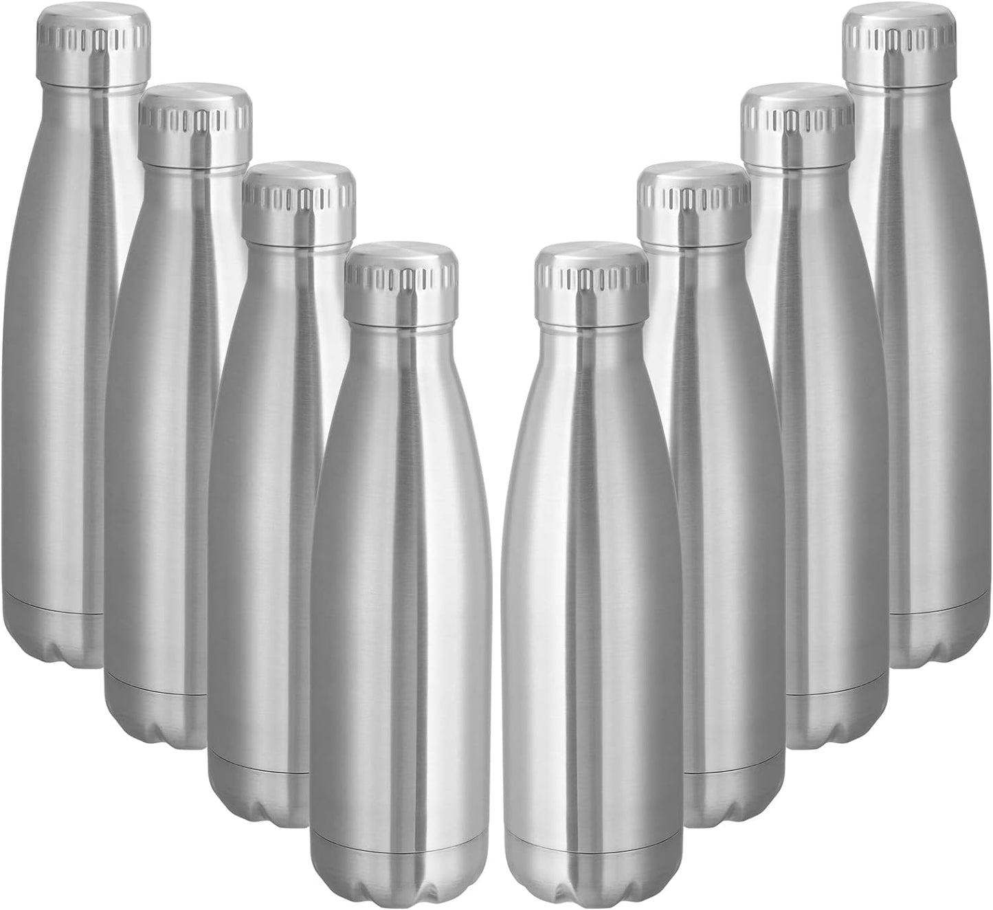 17 oz Stainless Steel Insulated Water Bottle - Reusable Double Wall Vacuum Flask for Hot and Cold Beverages, BPA Free