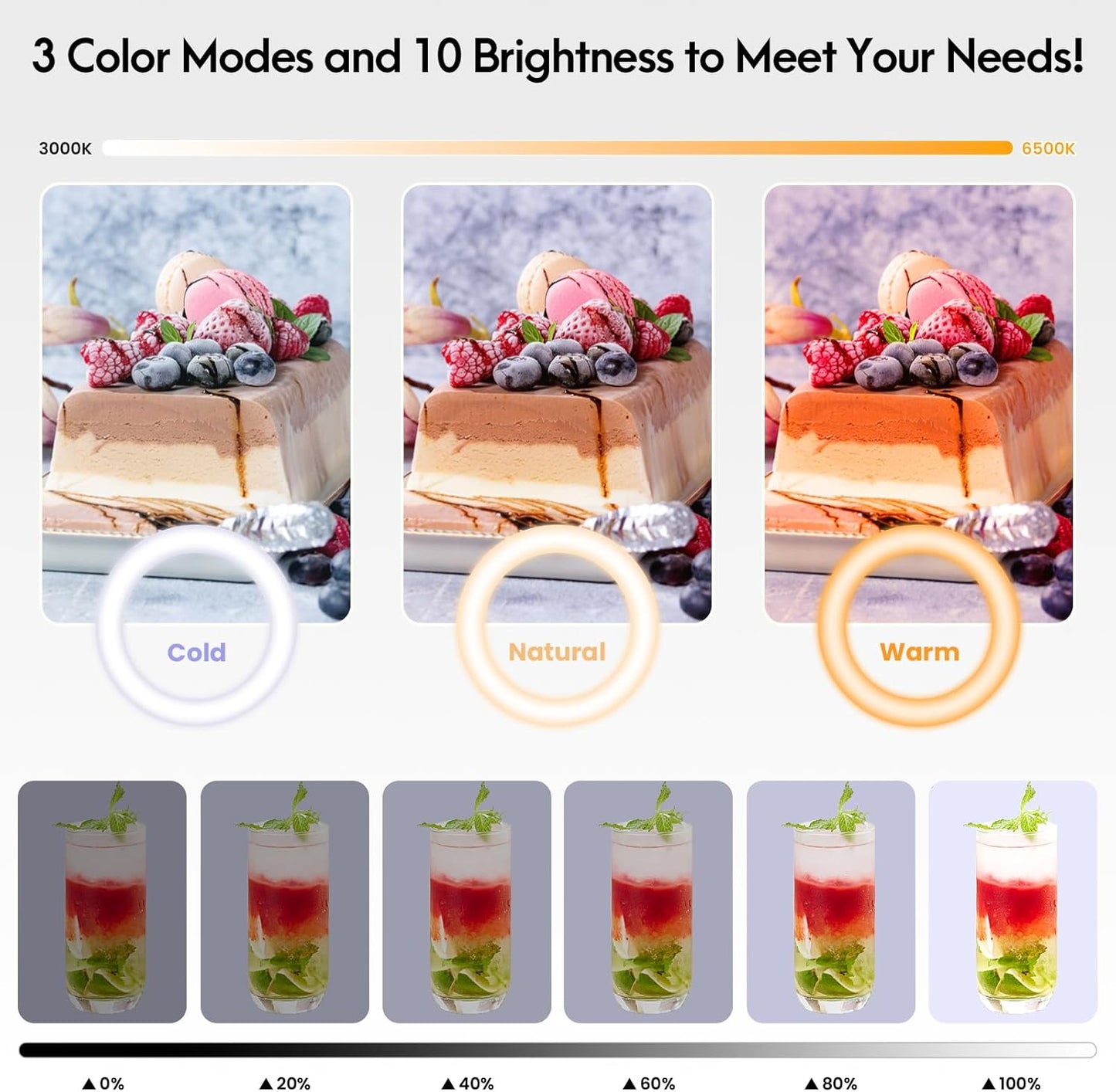Ring Light with Adjustable Stand and Phone Holder – 10" Overhead Mount