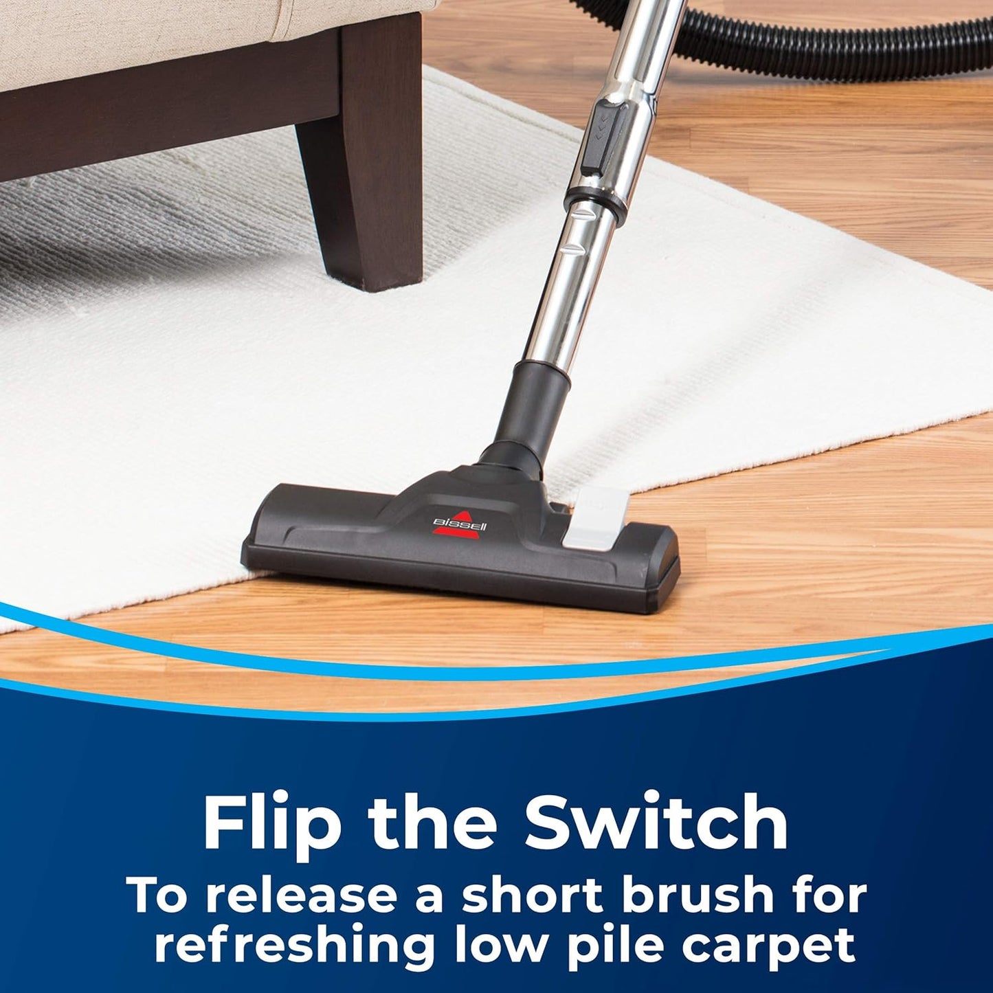 Zing Bagless Canister Vacuum Cleaner - Lightweight and Compact Design for Hard Floors and Low-Pile Carpets