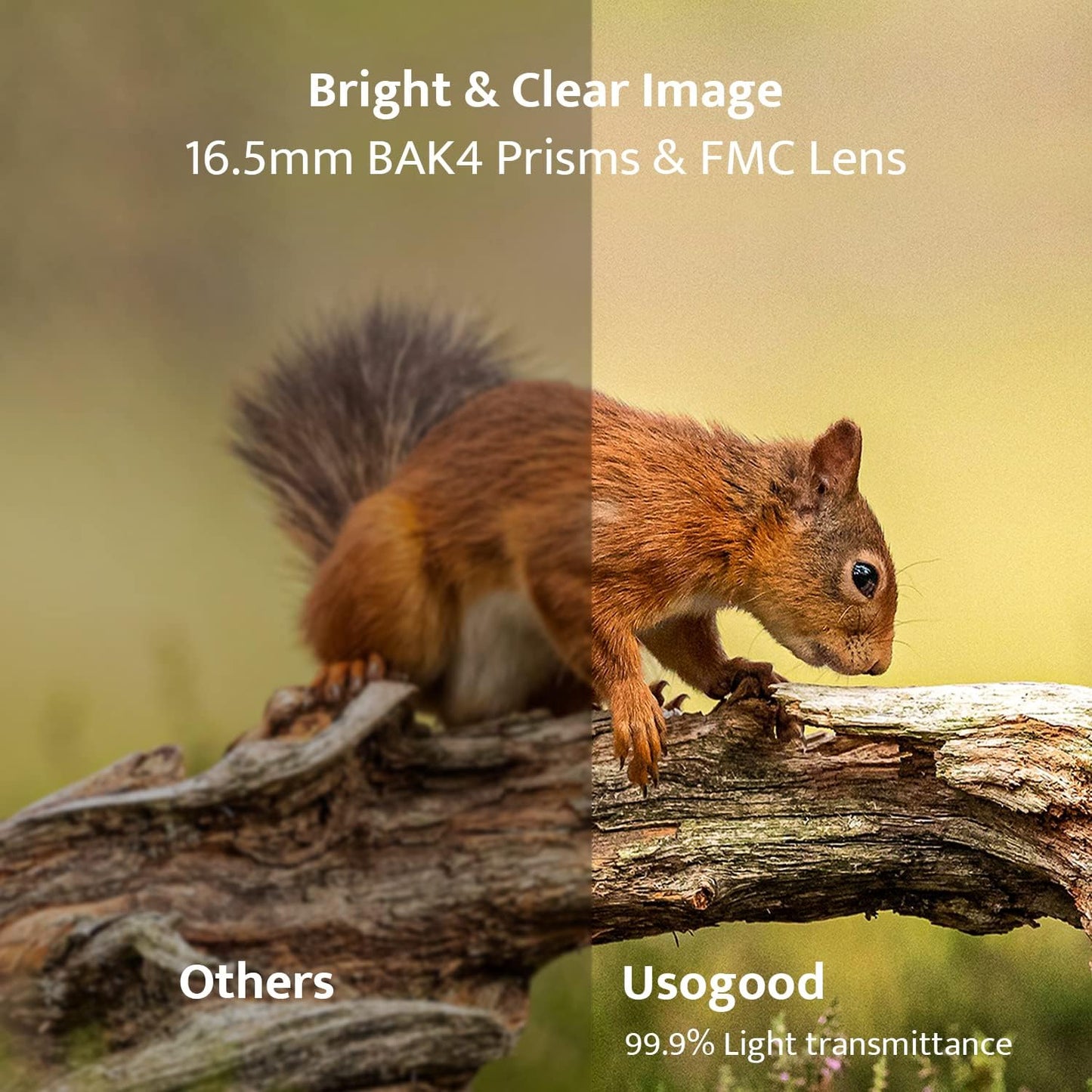 High Definition 12X50 Binoculars for Adults with Phone Adapter and Tripod