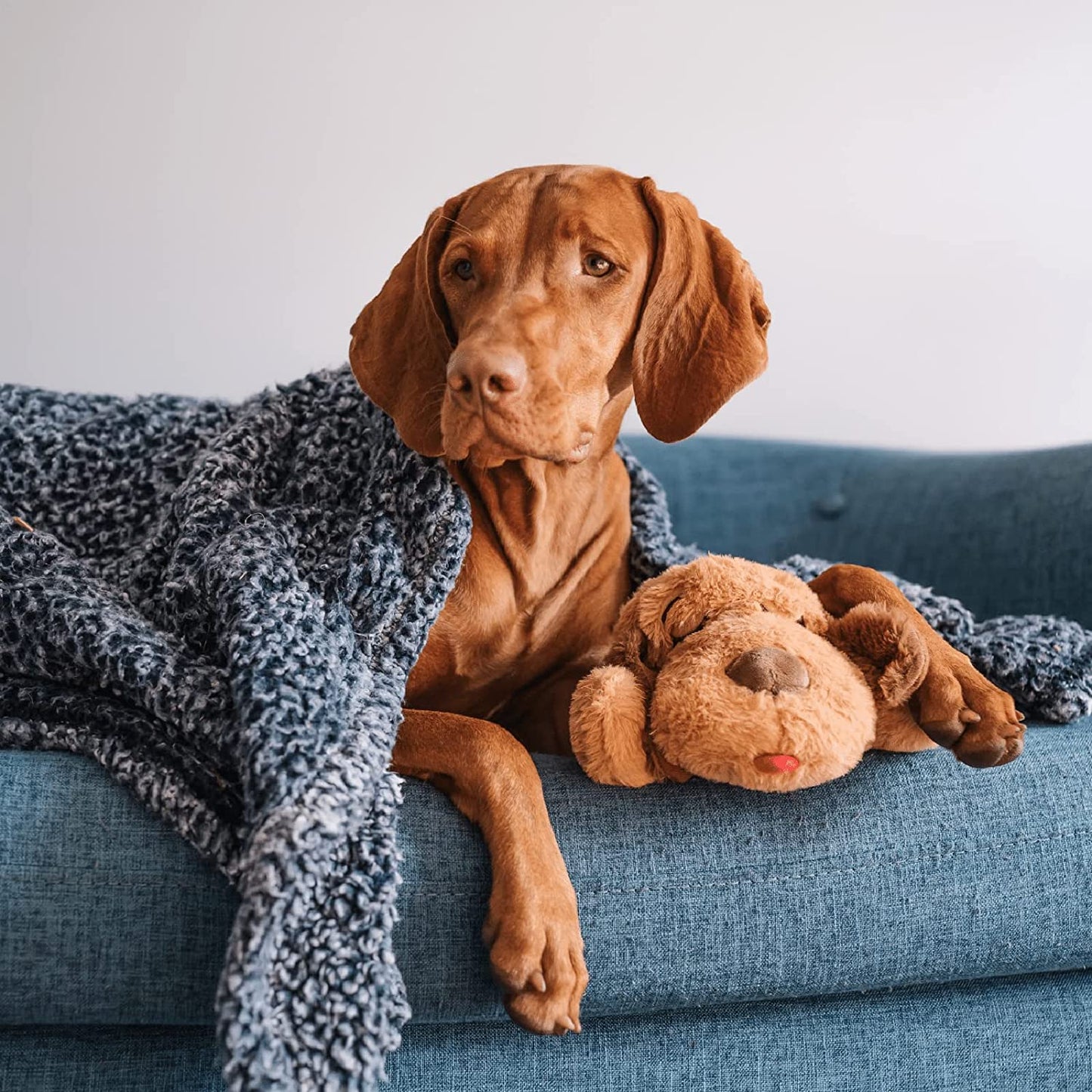 Snuggle Puppy Heartbeat Plush Toy Dogs - Anxiety Relief, Calming Support - Comfort Companion Behavioral Training - Biscuit Color
