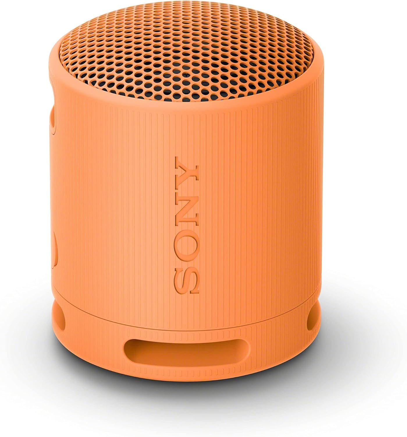 SRS-XB100 Wireless Bluetooth Portable Speaker - IP67 Waterproof & Dustproof, 16-Hr Battery Life, Strap, Hands-Free Calling - Grey