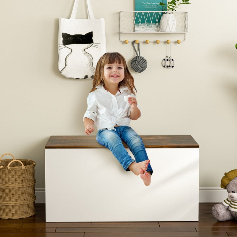 Pneumatic-Assist Flip-Top Storage Chest with Self-Locking Lid