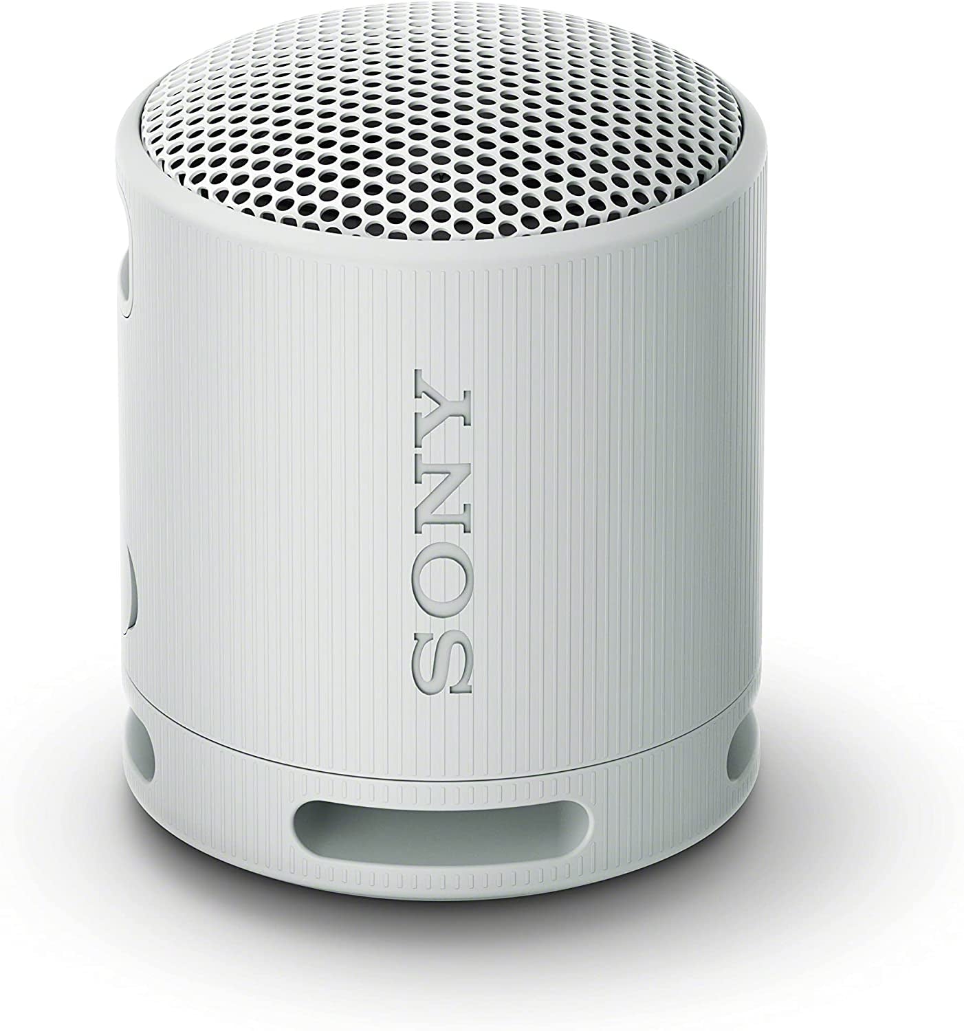 SRS-XB100 Wireless Bluetooth Portable Speaker - IP67 Waterproof & Dustproof, 16-Hr Battery Life, Strap, Hands-Free Calling - Grey