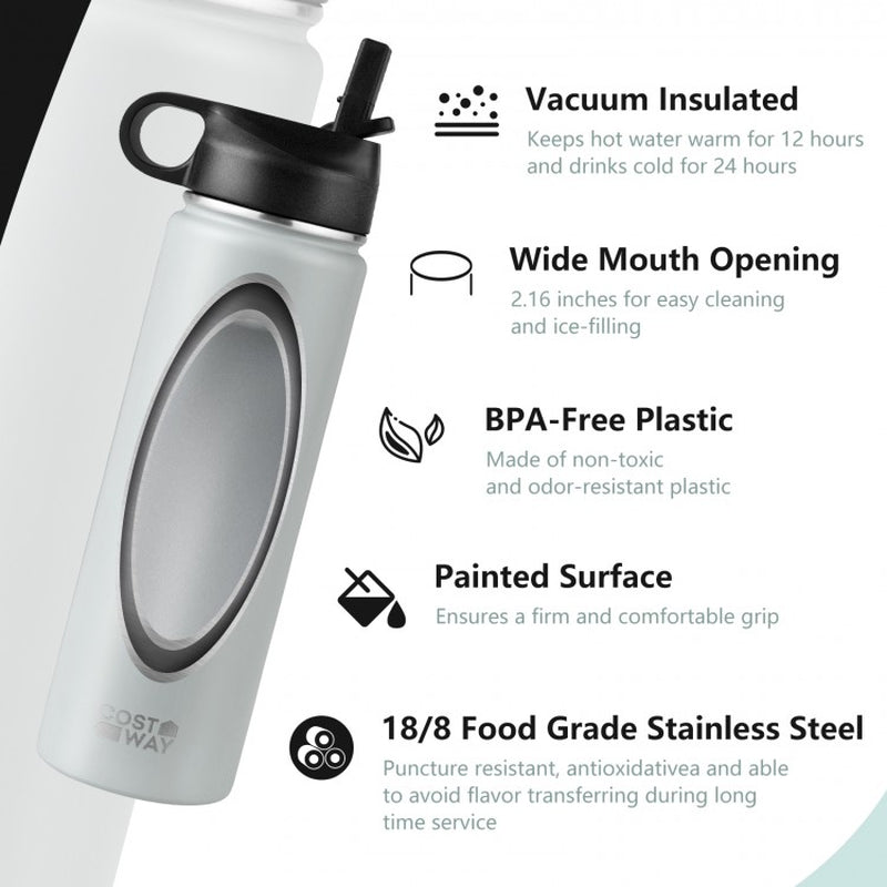 22 oz Double-Walled Insulated Stainless Steel Water Bottle with Straw Lid