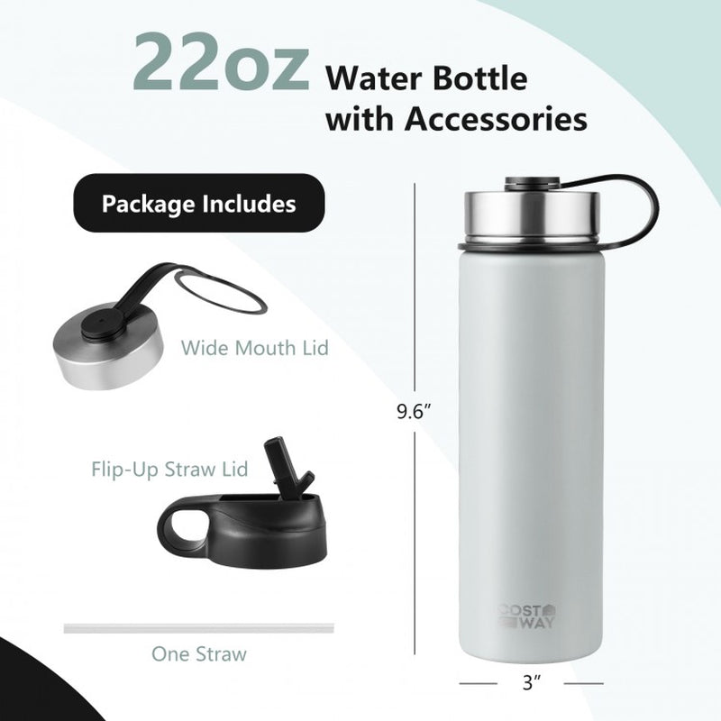 22 oz Double-Walled Insulated Stainless Steel Water Bottle with Straw Lid
