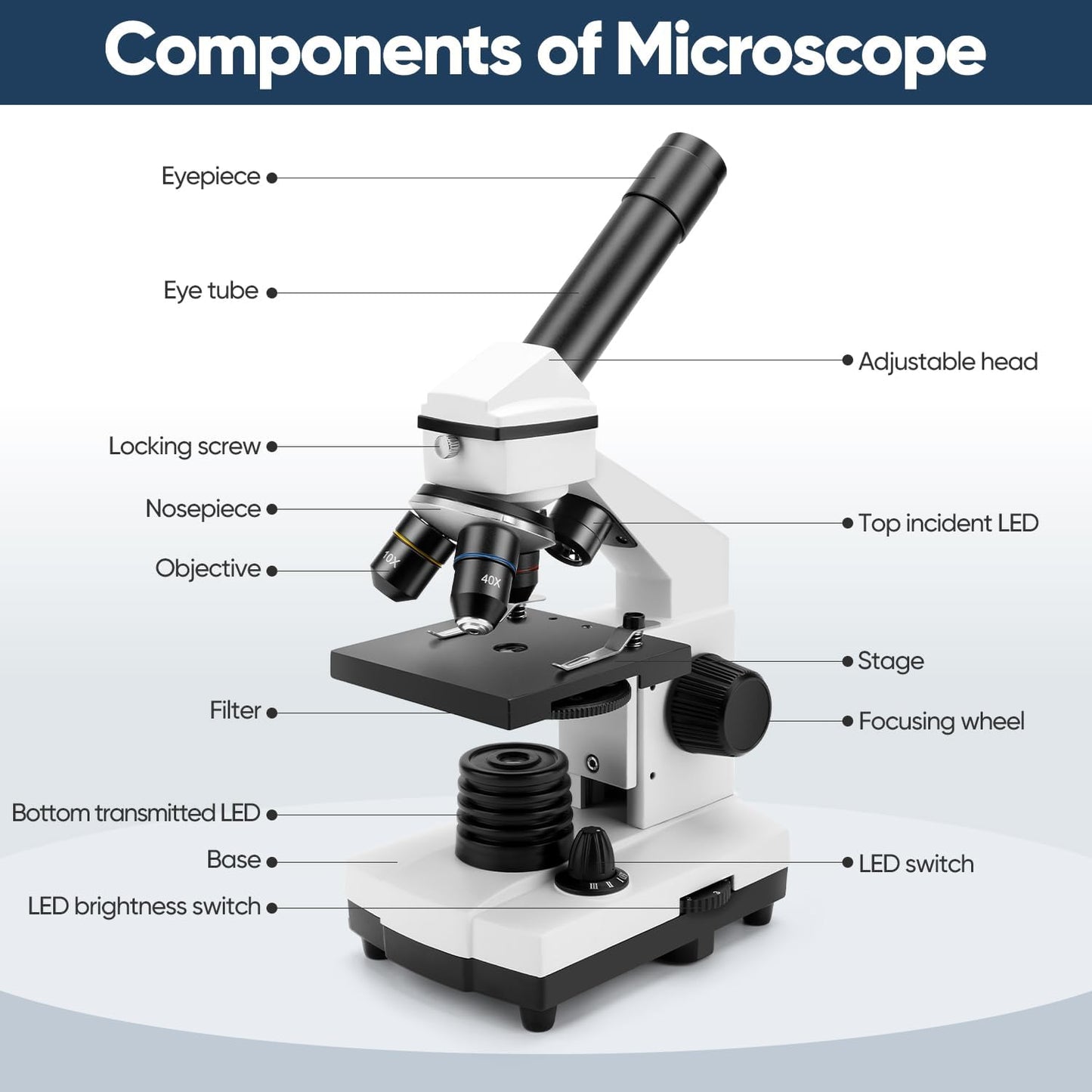 2000X Compound Microscope Kit for Adults and Children - Complete Biological Microscope Set with Slides for Educational Use