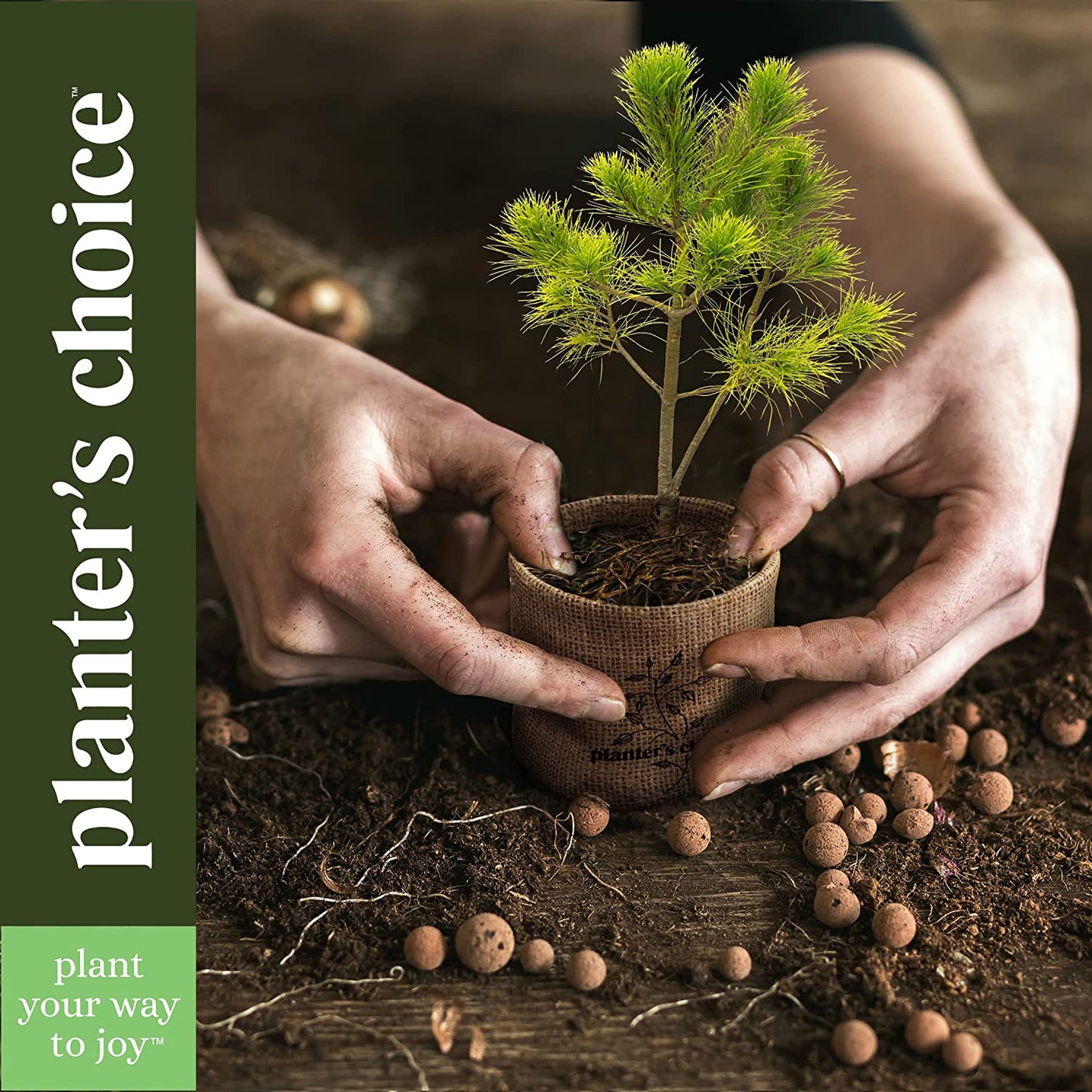 Bonsai Starter Kit - Ideal Gardening Gift for Enthusiasts - Unique DIY Craft Kit for Adults - Thoughtful Easter Gift for Garden Plant Lovers and Gardening Mothers