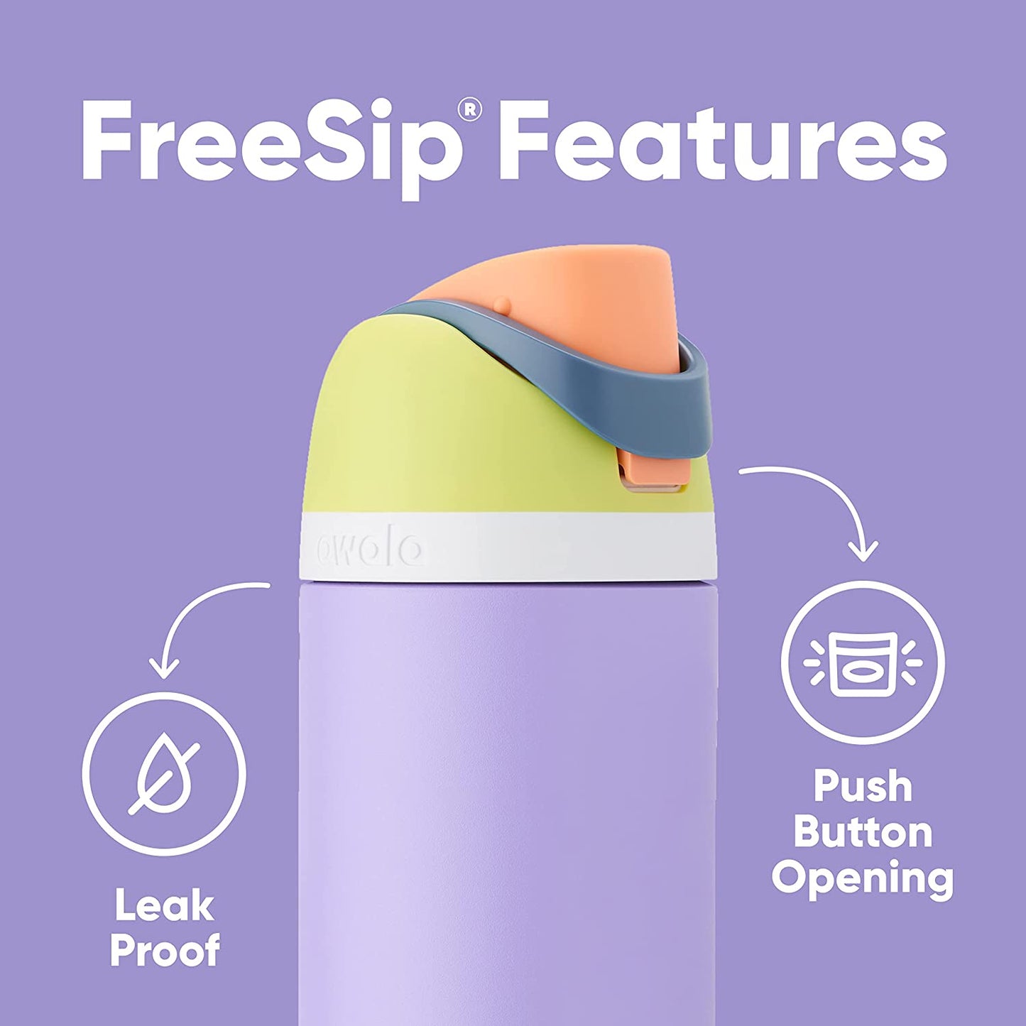 Freesip 24 Oz Insulated Stainless Steel Water Bottle with Straw - BPA-Free