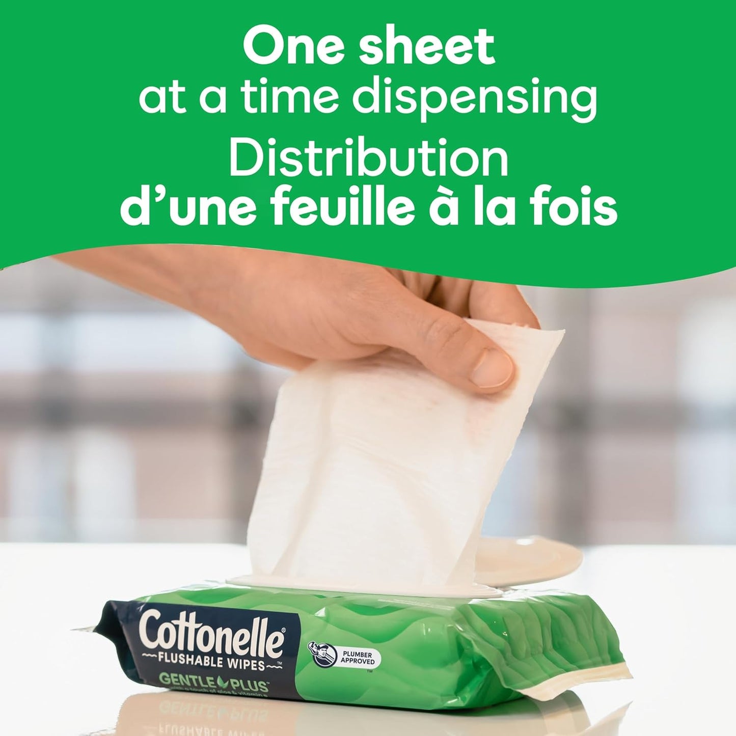 Gentleplus Flushable Wet Wipes - Aloe & Vitamin E, Adult Wet Wipes, 8 Flip-Top Packs, 42 Wipes per Pack (336 Total Flushable Wipes)
