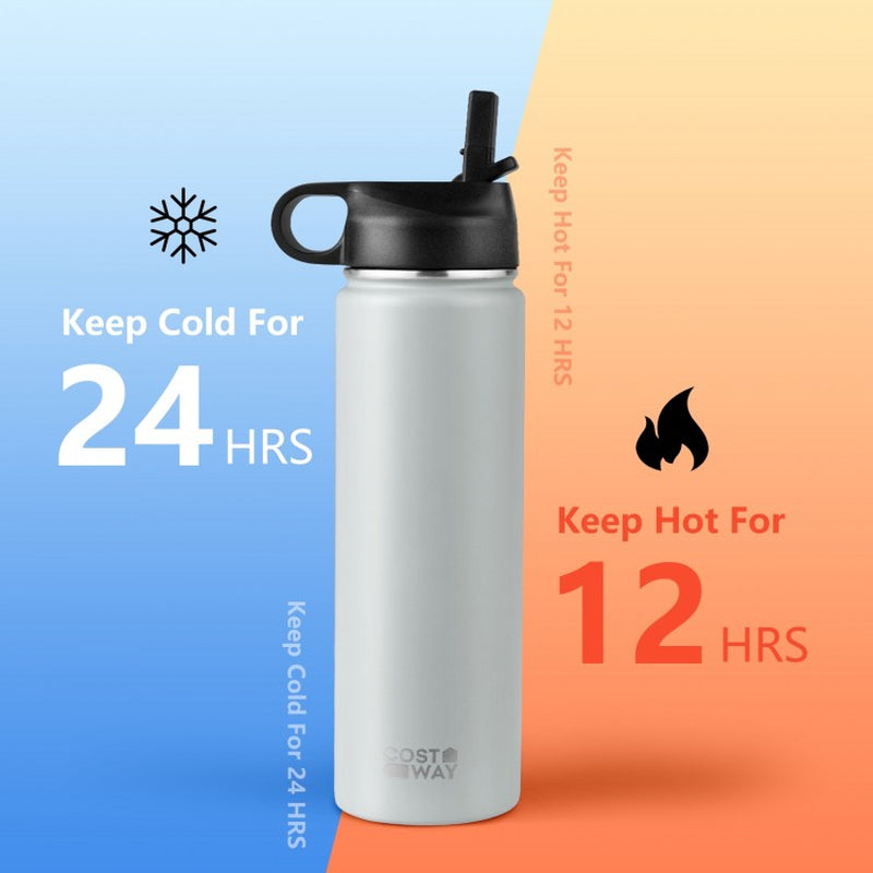 22 oz Double-Walled Insulated Stainless Steel Water Bottle with Straw Lid