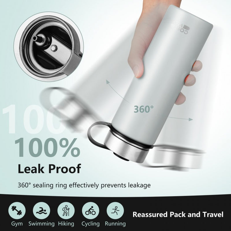 22 oz Double-Walled Insulated Stainless Steel Water Bottle with Straw Lid