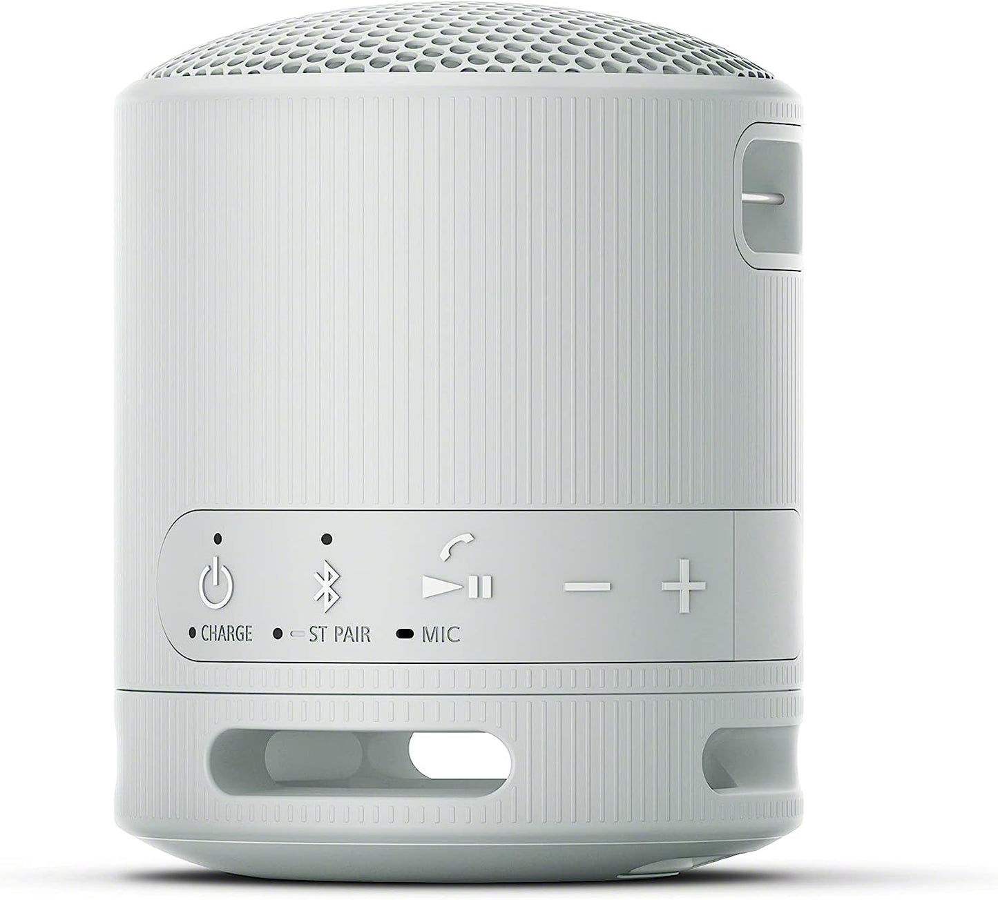 SRS-XB100 Wireless Bluetooth Portable Speaker - IP67 Waterproof & Dustproof, 16-Hr Battery Life, Strap, Hands-Free Calling - Grey