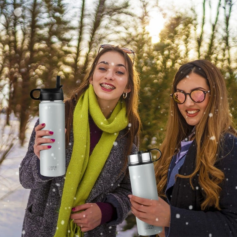 22 oz Double-Walled Insulated Stainless Steel Water Bottle with Straw Lid