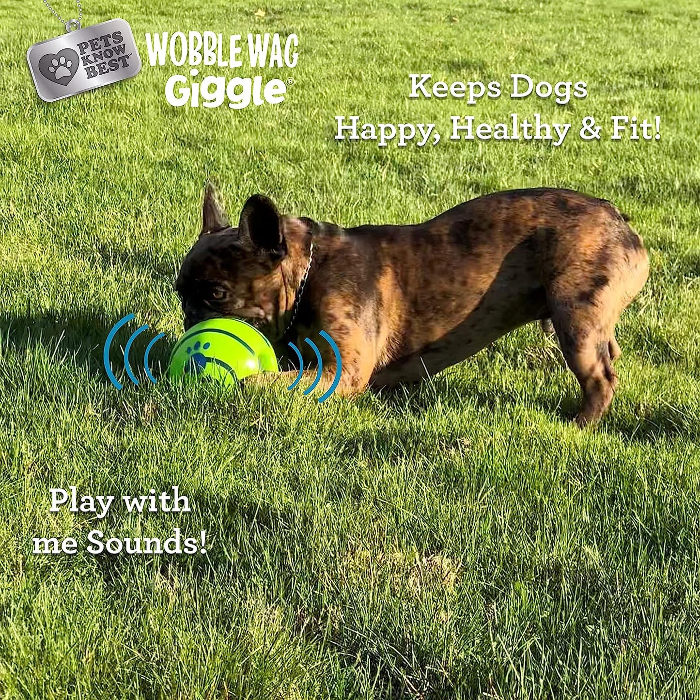 Interactive Dog Toy Ball - Giggle Sounds - Engaging Play for Pets, Not a Chew Toy