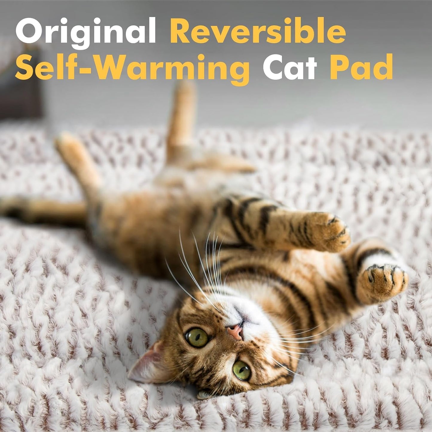 Self-Heating Cat Pad and Thermal Bed for Indoor and Outdoor Use - 27.5" x 18.5" for Large Kittens and Small Puppies