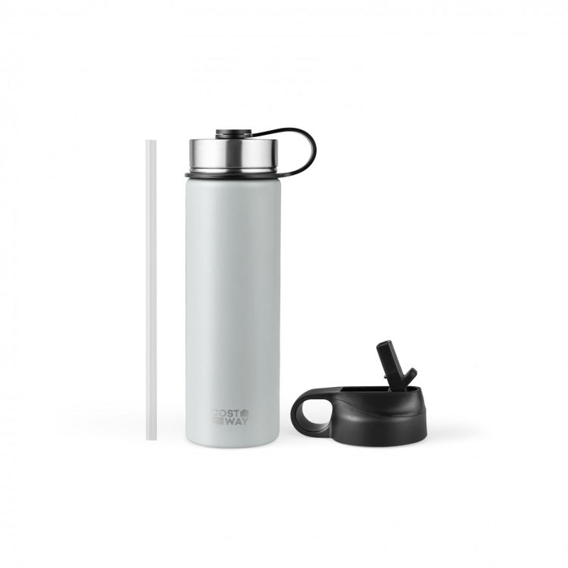22 oz Double-Walled Insulated Stainless Steel Water Bottle with Straw Lid