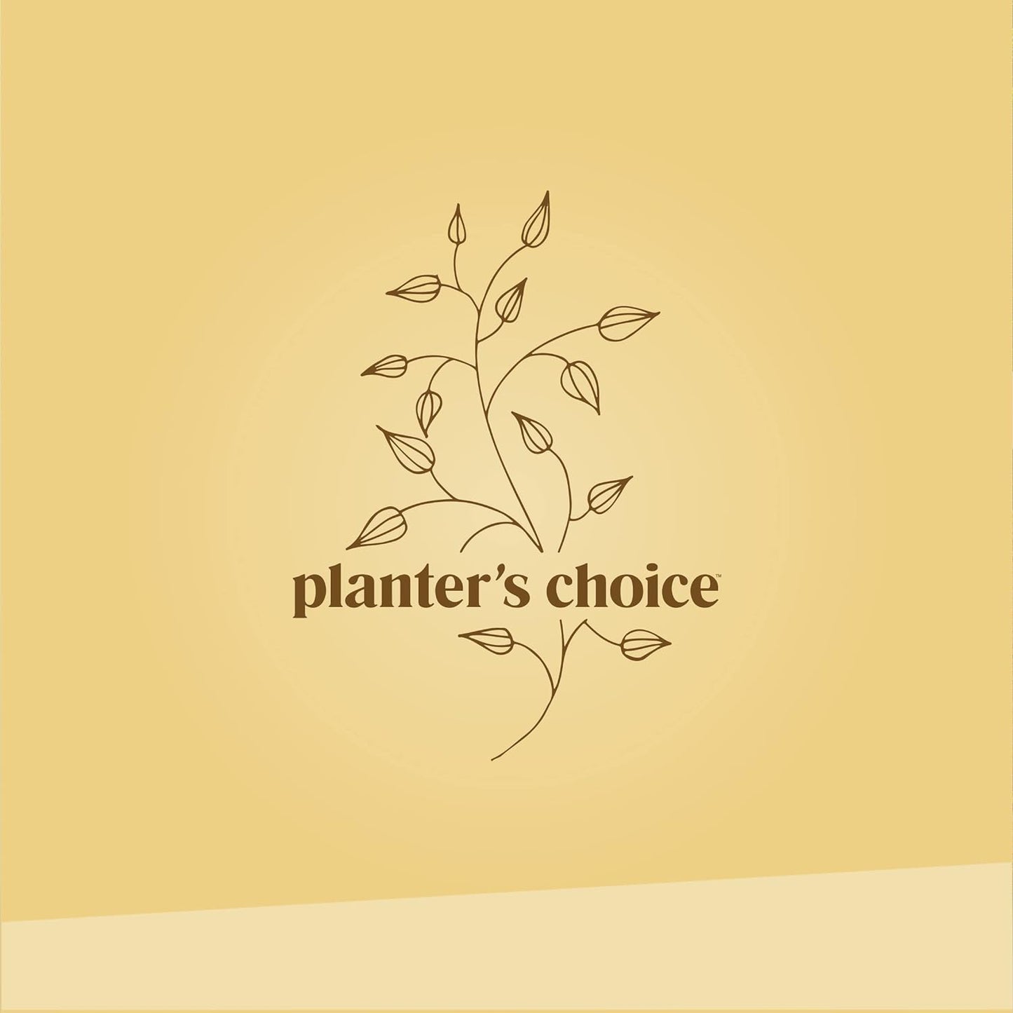 Bonsai Starter Kit - Ideal Gardening Gift for Enthusiasts - Unique DIY Craft Kit for Adults - Thoughtful Easter Gift for Garden Plant Lovers and Gardening Mothers